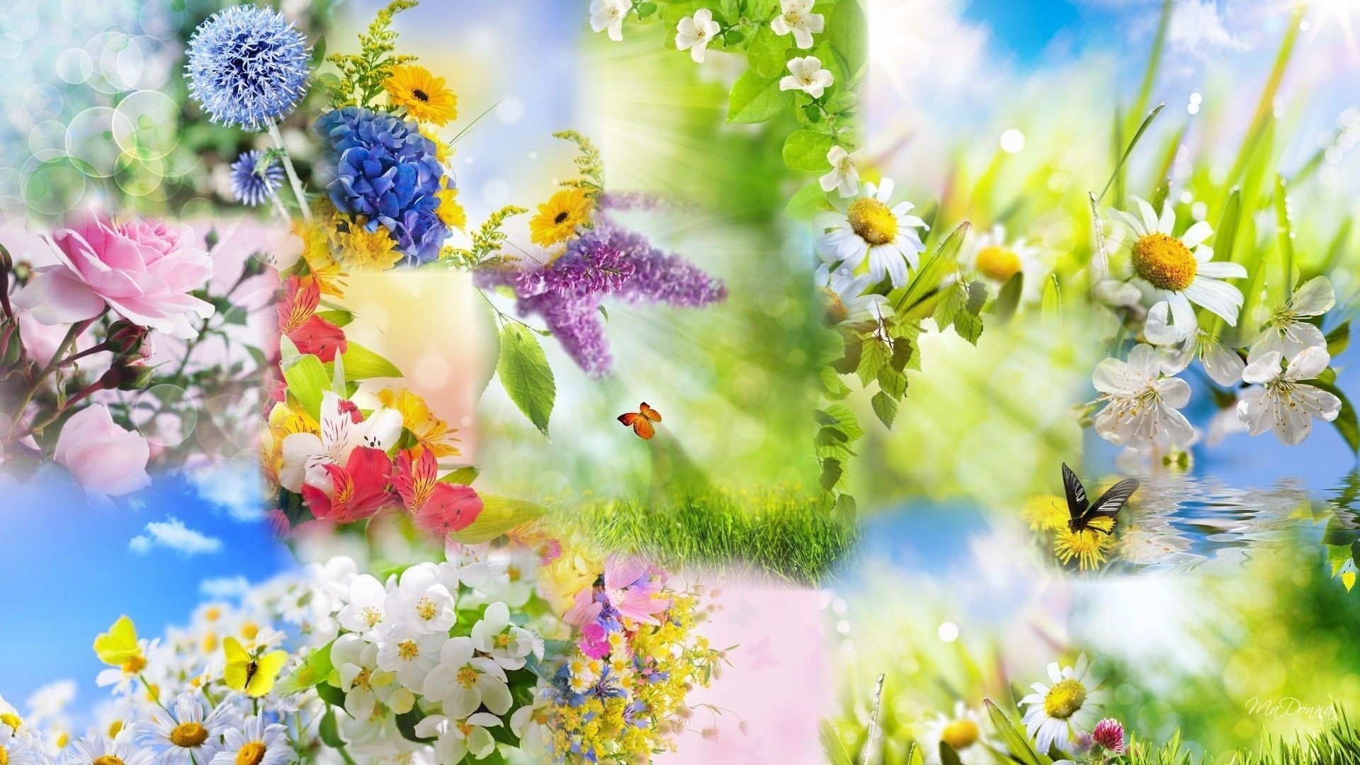 1920x1080 Spring Collage Wallpaper Free Spring Collage Background, Desktop