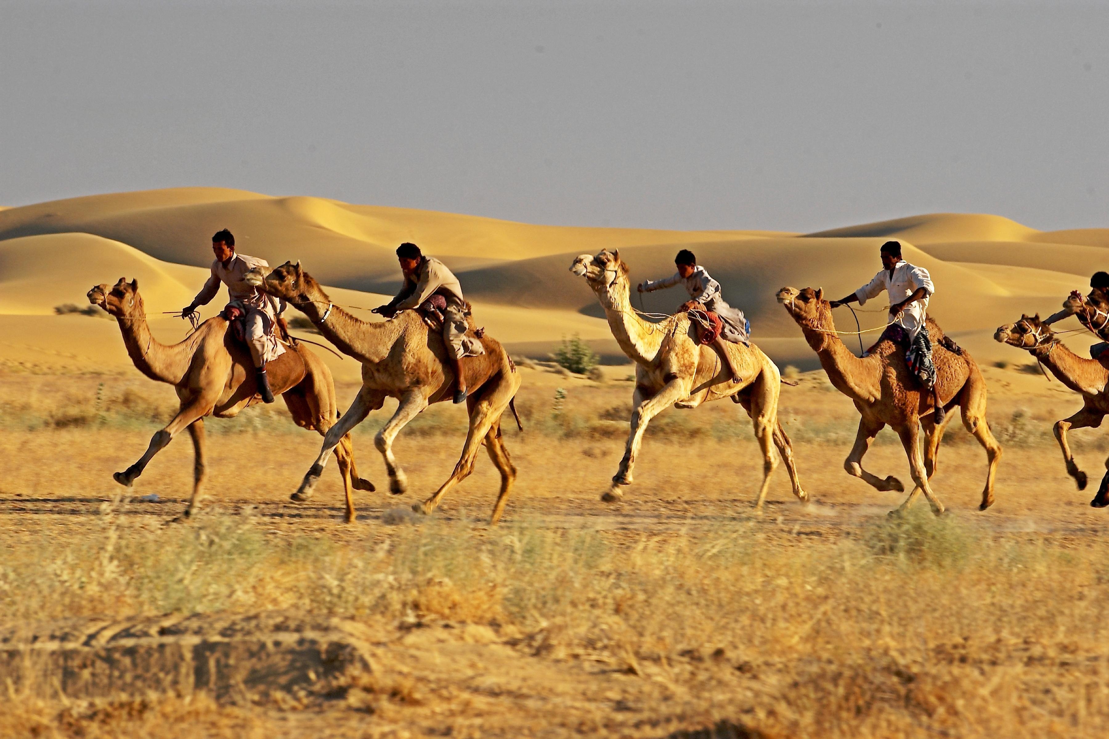 3600x2400 Golden Triangle Tour with Desert Festival Jaisalmer, Indian Golden, Desktop