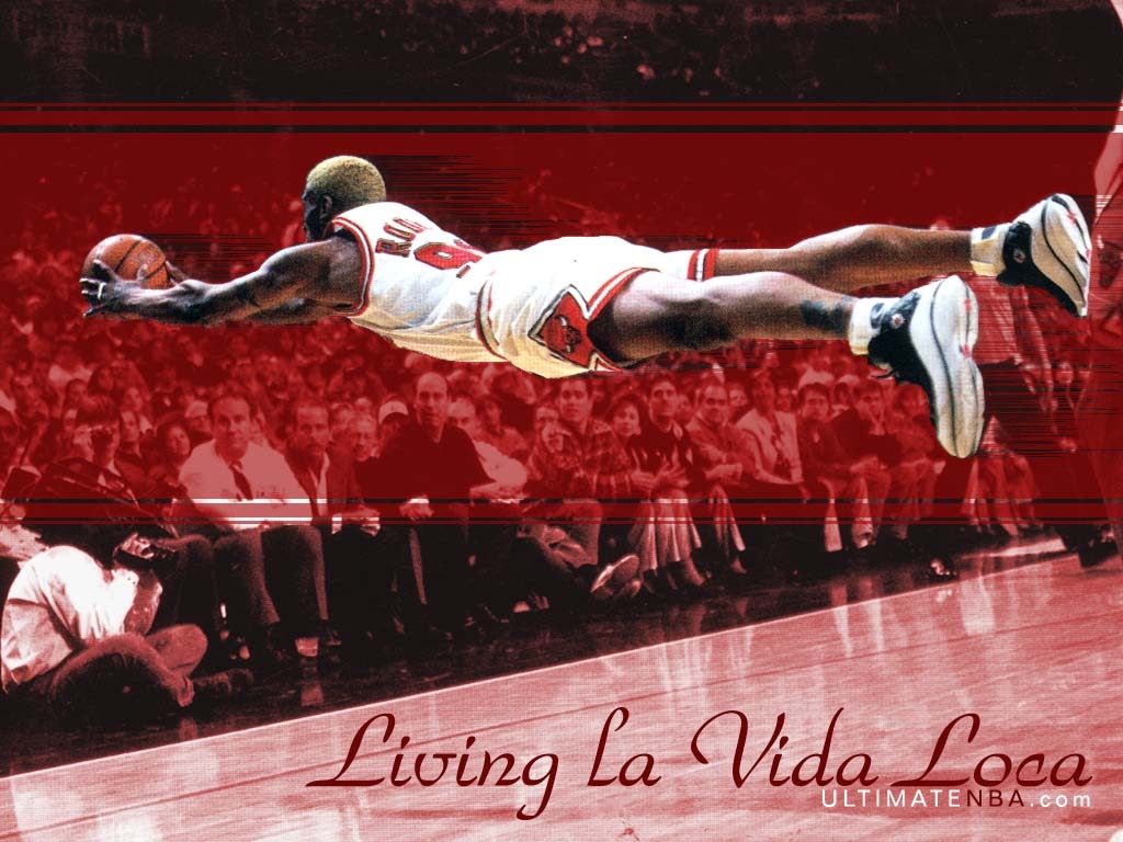 1030x770 New Dennis Rodman Wallpaper, Dennis Rodman Wallpaper, Desktop