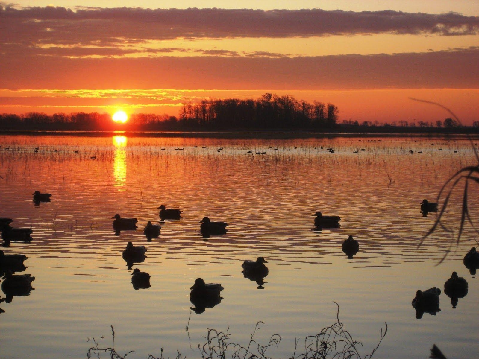 1600x1200 Waterfowl Hunting Background For Computer, Desktop