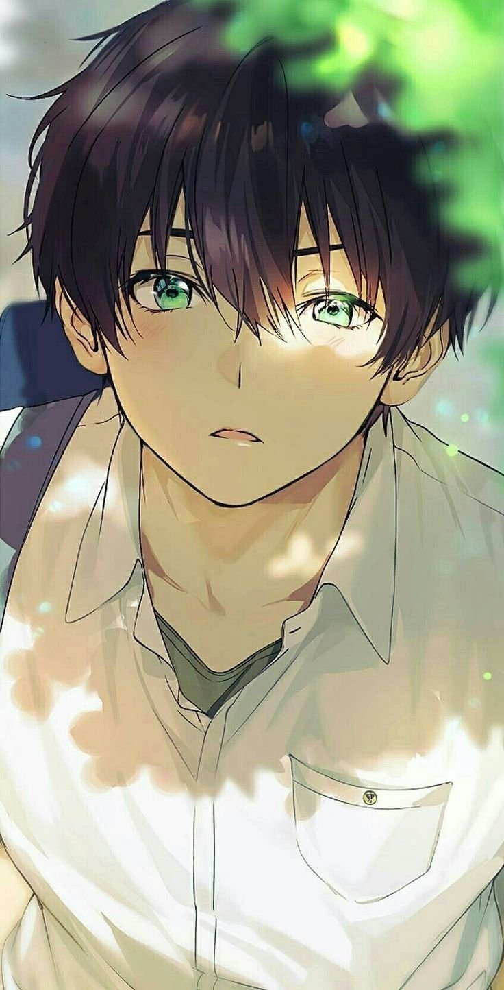 740x1450 Anime pfp boy Wallpaper Download, Phone