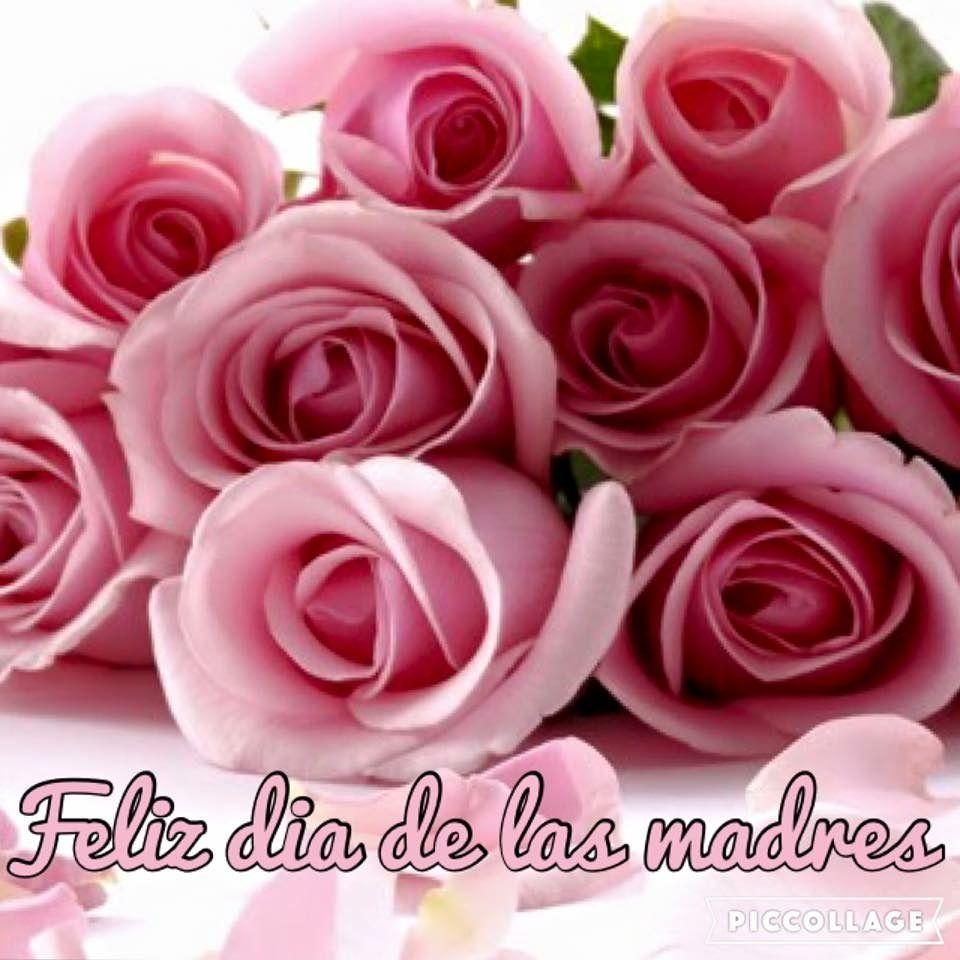 960x960 Rosas Rosas! Feliz día de las Madres. Quotes Make Life a Reason, Phone
