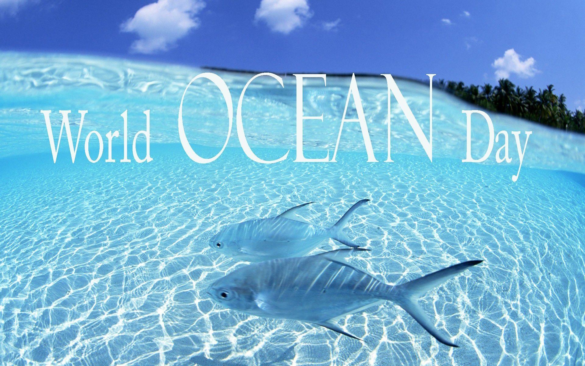 1920x1200 World Ocean Day HD Wallpaper, Desktop