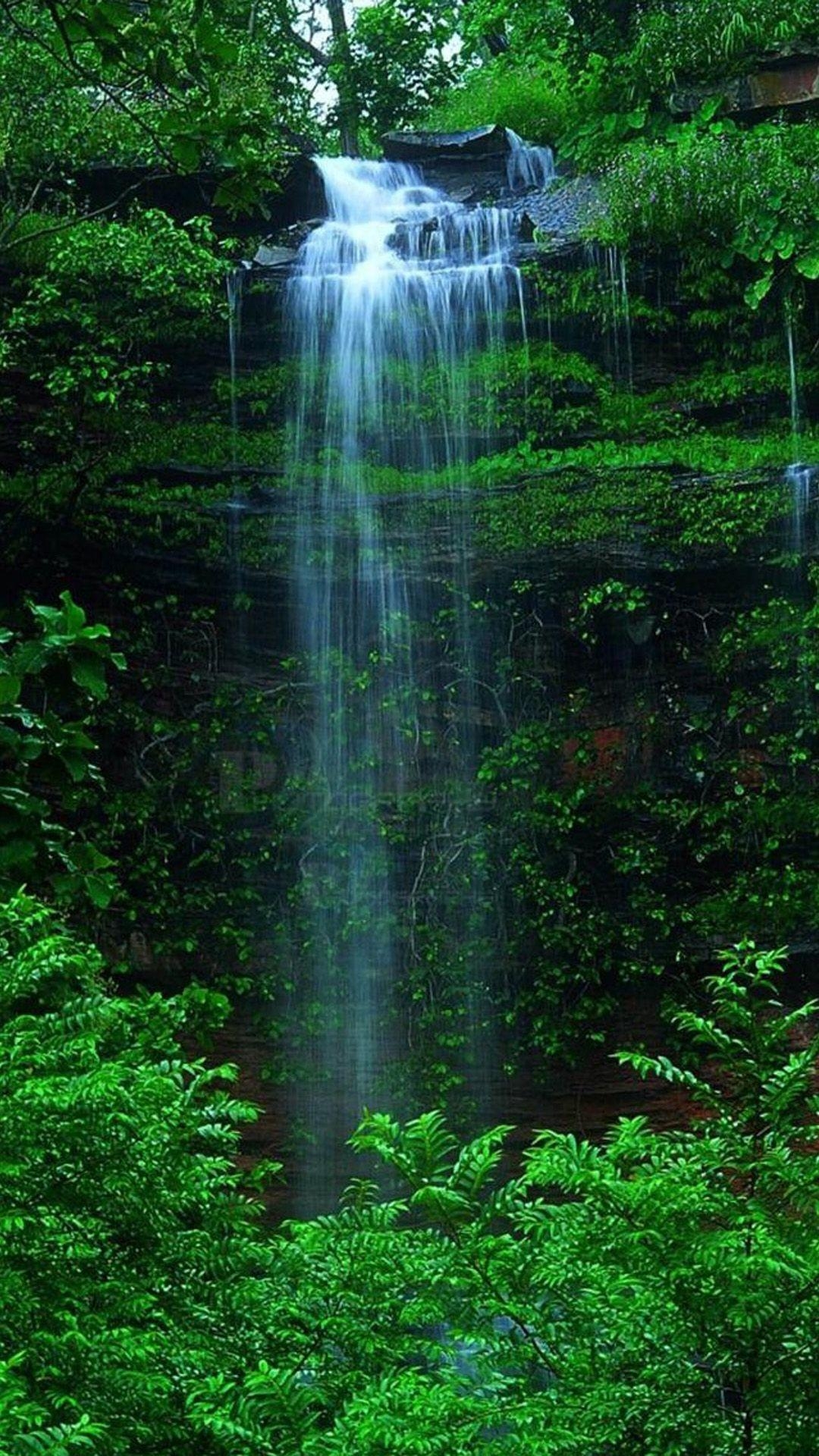 1080x1920 Nature Forest Waterfall IPhone 6 Wallpaper Download. IPhone Wallpaper, IPad Wallpaper One Stop Download. Waterfall Wallpaper, Forest Waterfall, Waterfall, Phone