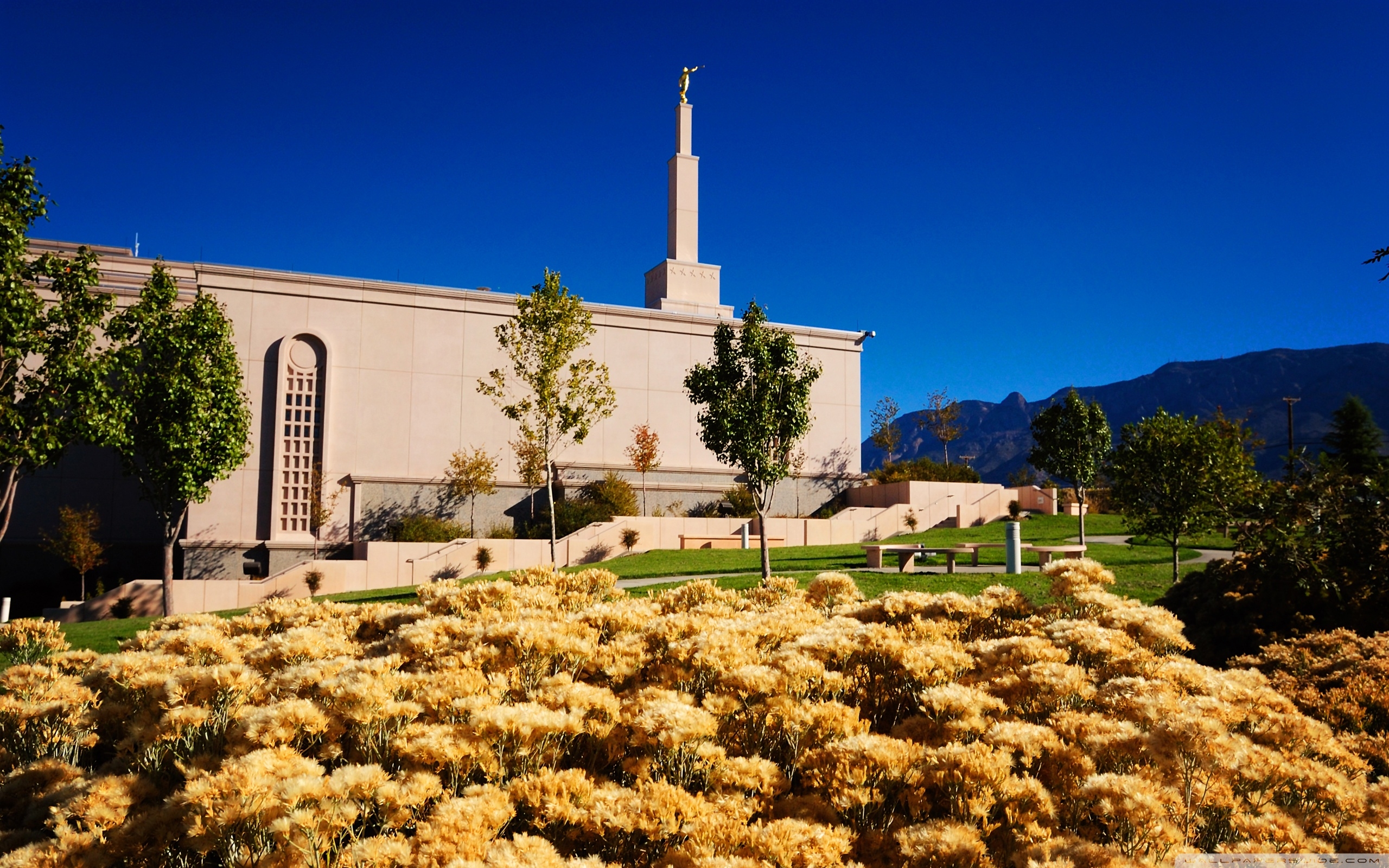 2560x1600 Albuquerque New Mexico Temple, October ❤ 4K HD Desktop Wallpaper, Desktop