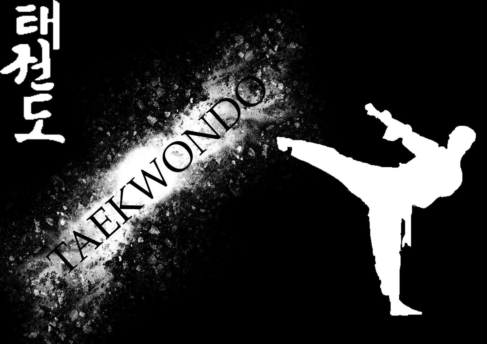 1600x1140 Taekwondo Wallpaper, Desktop