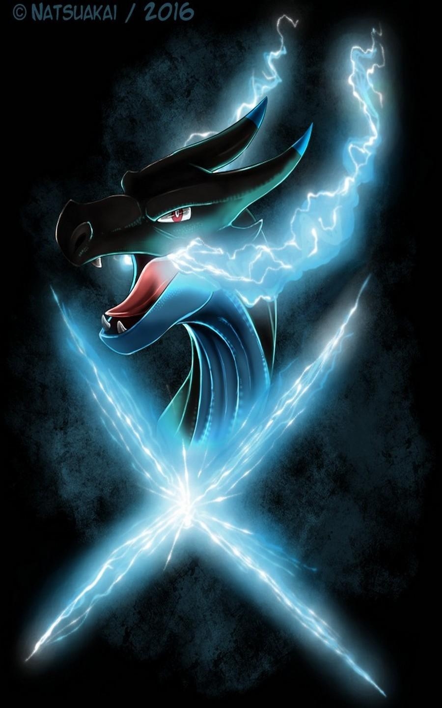 900x1440 image Of Mega Charizard X, Phone