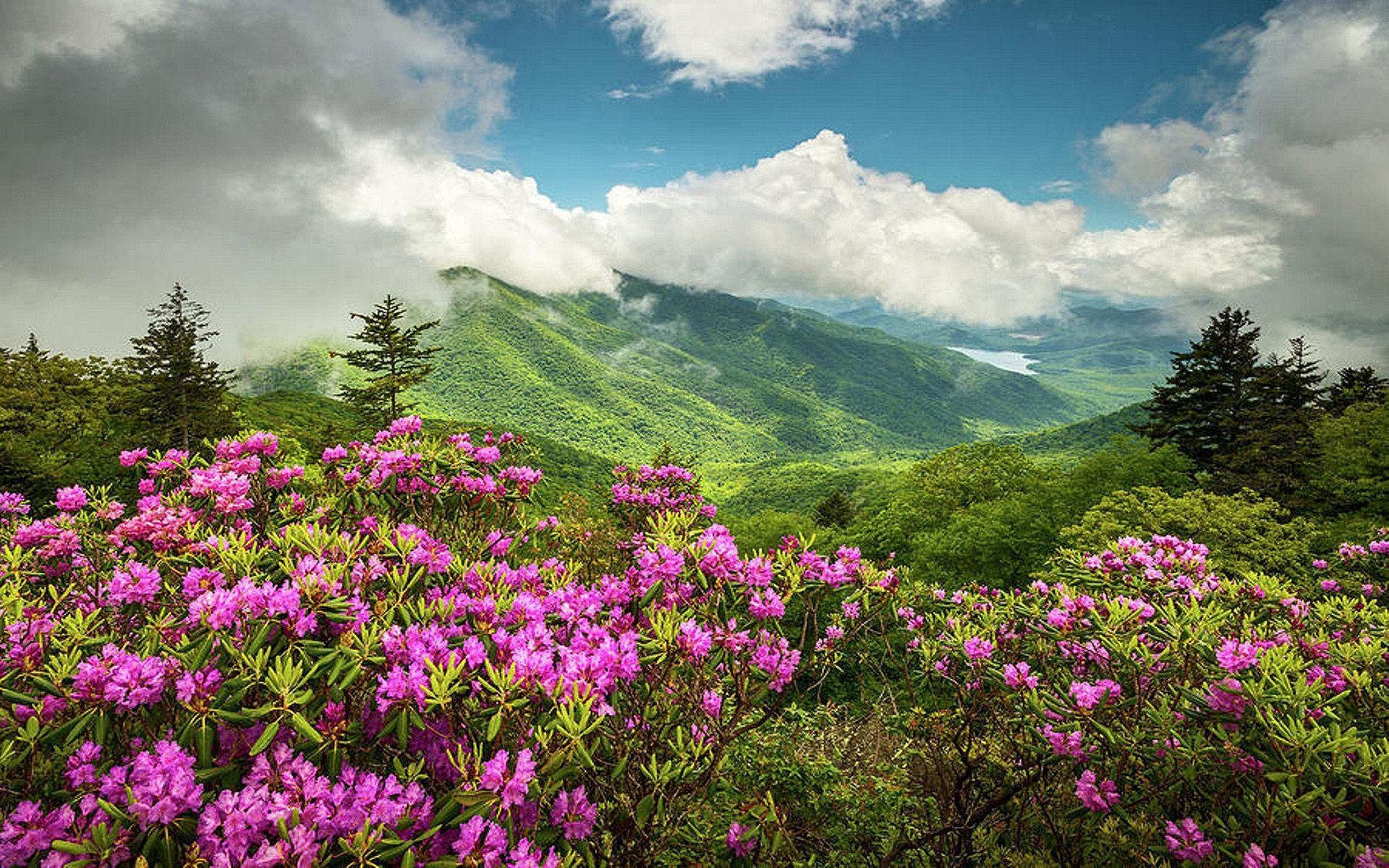 1920x1200 Appalachian Mountains North Carolina Blue Ridge Parkway Spring, Desktop