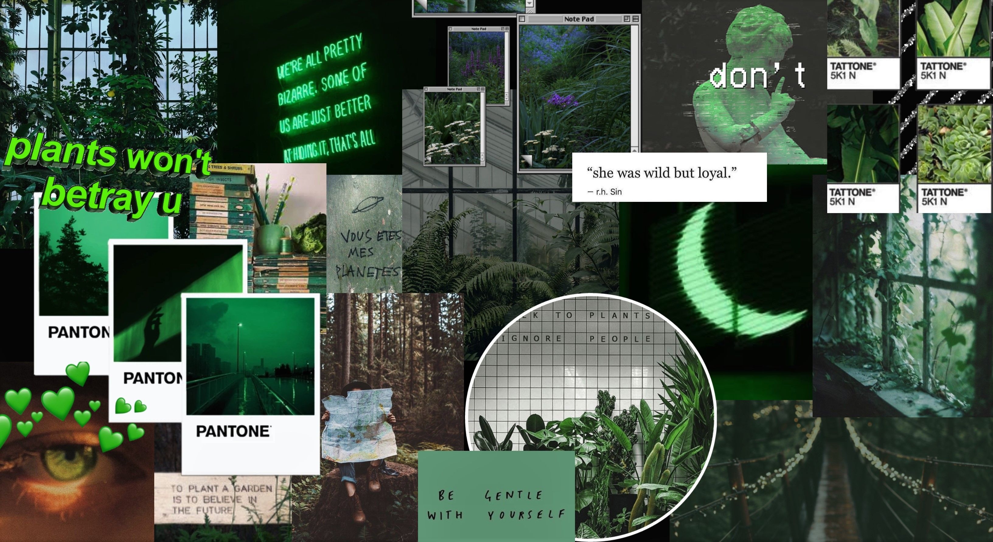 3270x1790 Dark Green grunge wallpaper. Dark green wallpaper, Green grunge wallpaper, Dark green aesthetic, Desktop