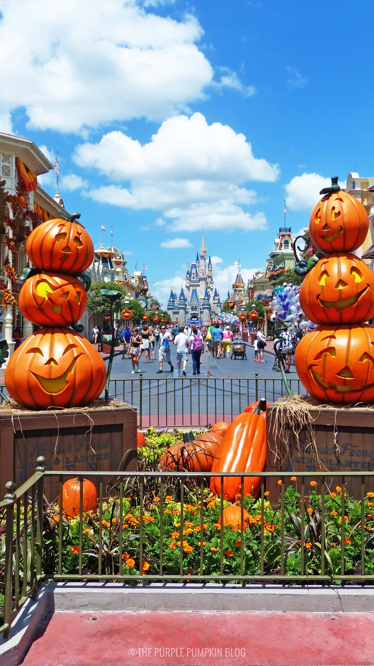 1250x2210 Disney Fall iPhone Wallpaper to Download for Free!, Phone