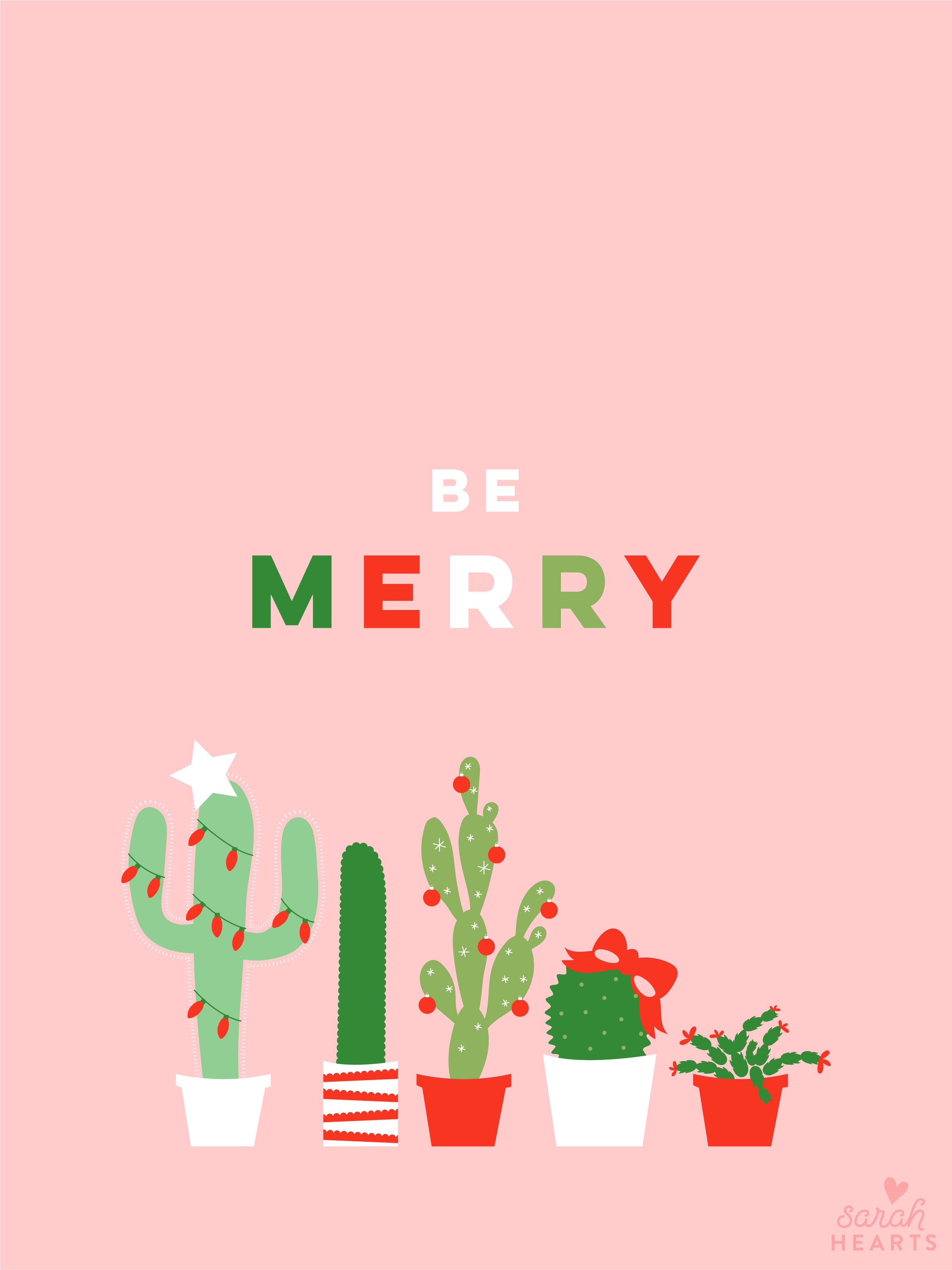 3210x4270 December 2017 Christmas Cactus Calendar Wallpaper, Phone