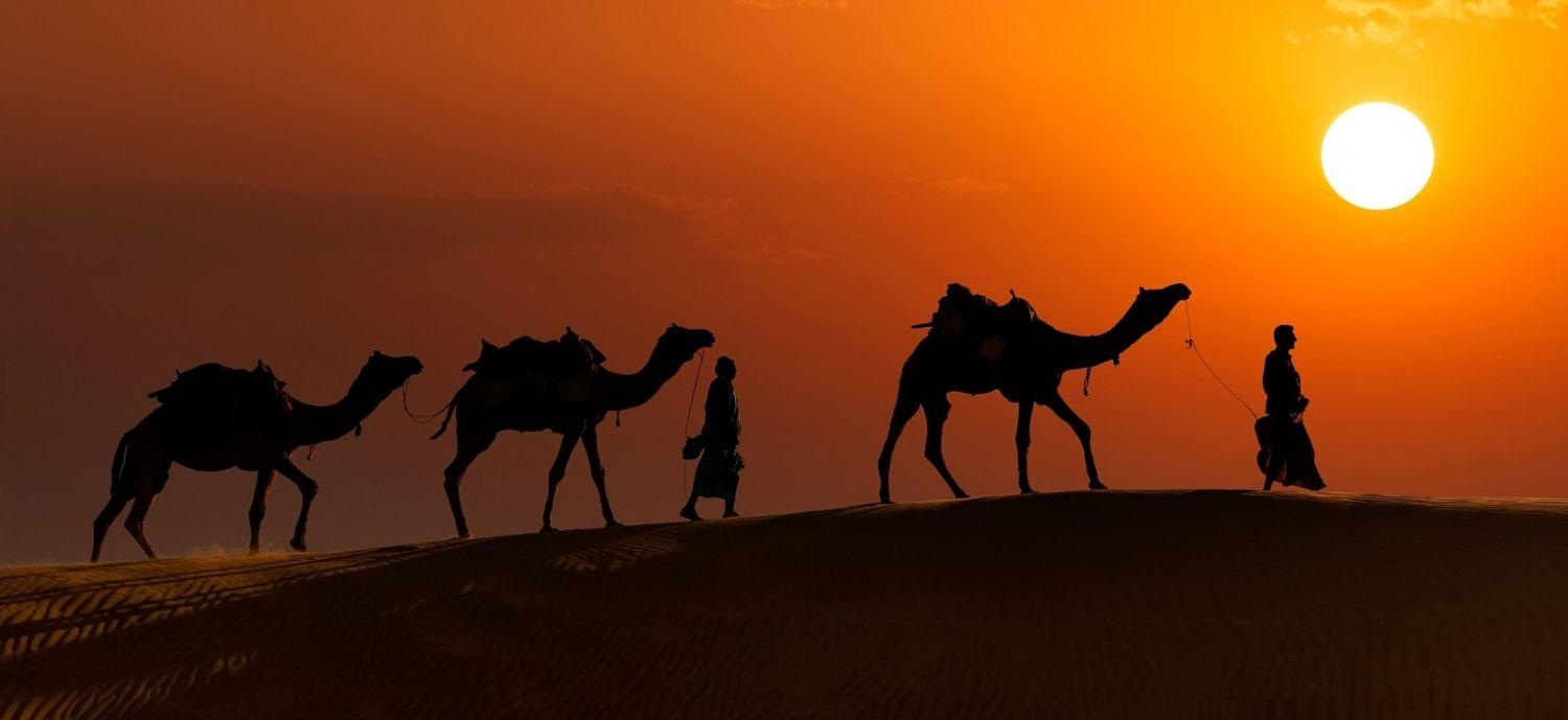 1500x690 Jaisalmer Camel Safari: A Travelers Guide Roaming The Roads, Dual Screen