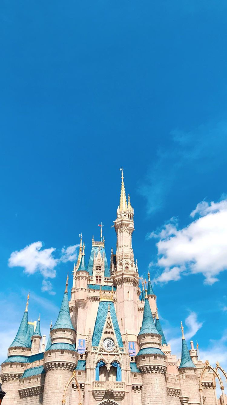 750x1340 Cinderella's castle. Cinderella wallpaper, Disney, Phone