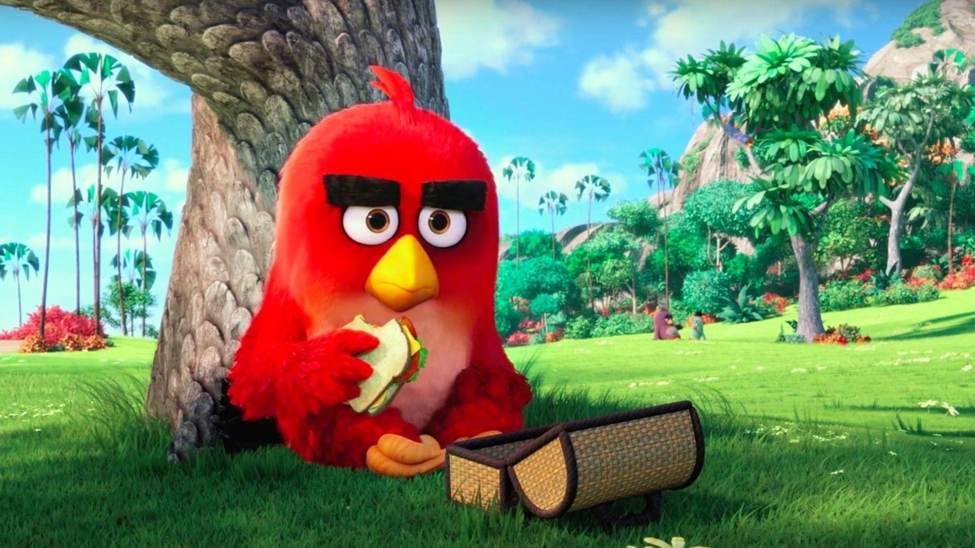 1920x1080 The Angry Birds Movie Wallpaper High Resolution and Quality Download, Desktop