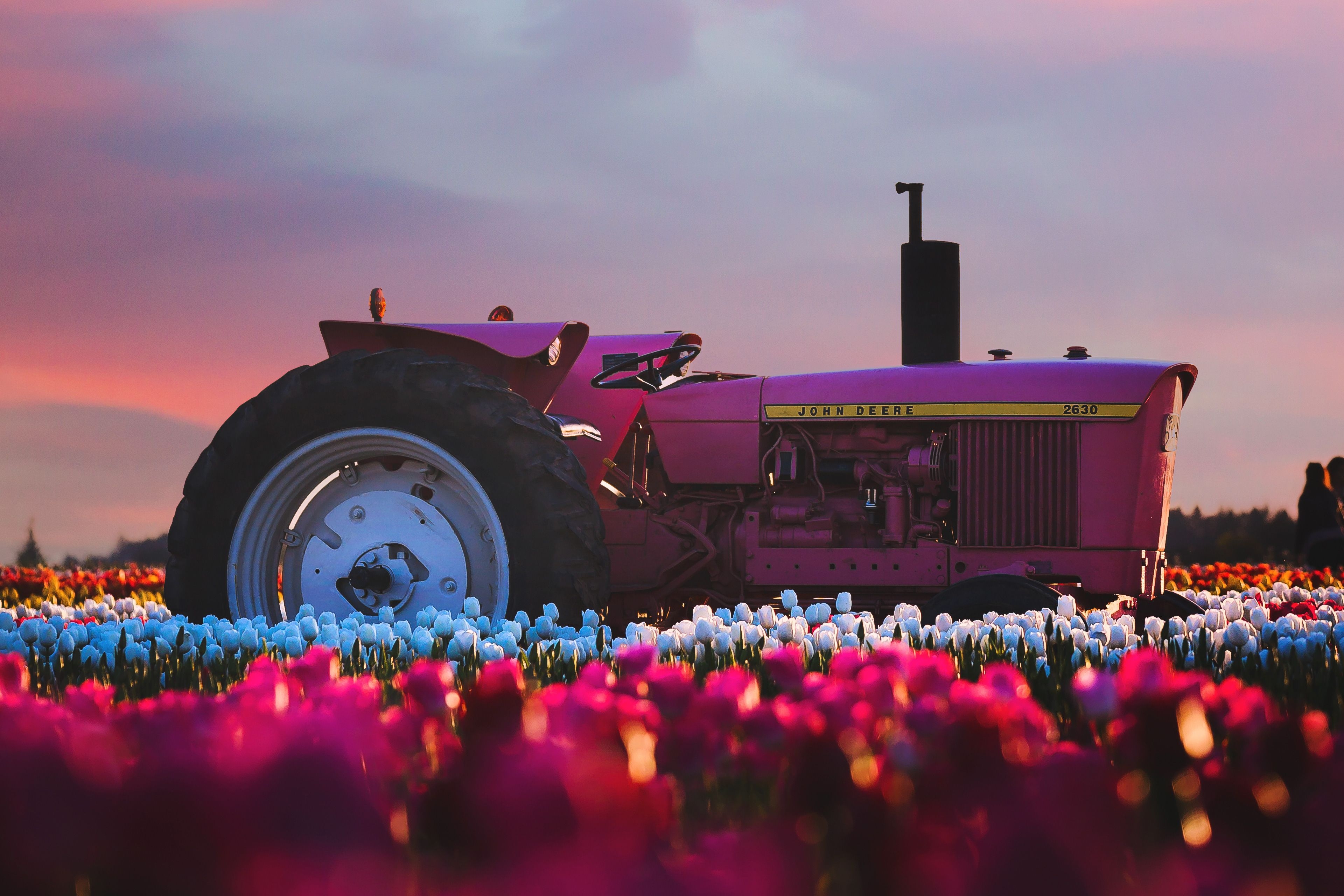 3840x2560 John Deere Tractor In Flower Farm 4k 2048x1152 Resolution HD 4k Wallpaper, Image, Background, Photo and Picture, Desktop