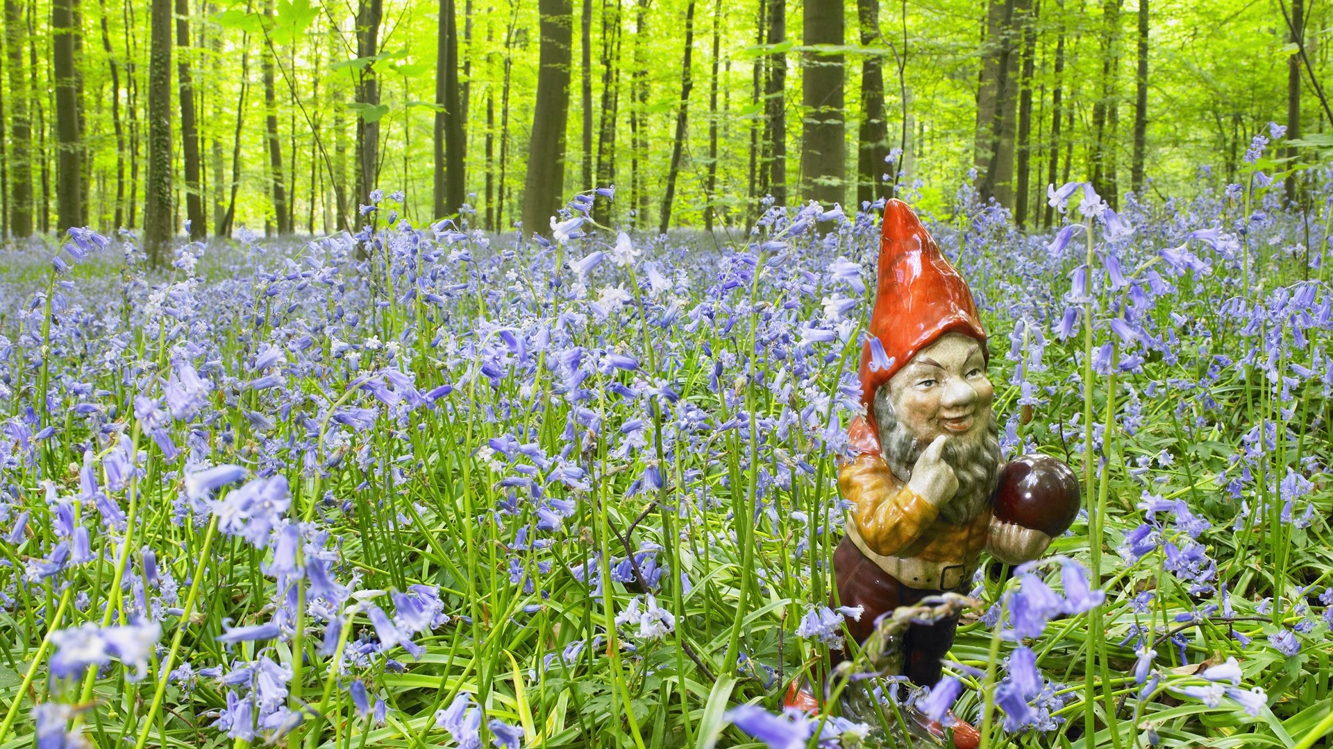 1920x1080 Free download Download Garden Gnome Wallpaper  Wallpoper 308365 [] for your Desktop, Mobile & Tablet. Explore Garden Gnome Wallpaper. Gnome Wallpaper, Gnome Wallpaper for Walls, Gnome Desktop Wallpaper, Desktop