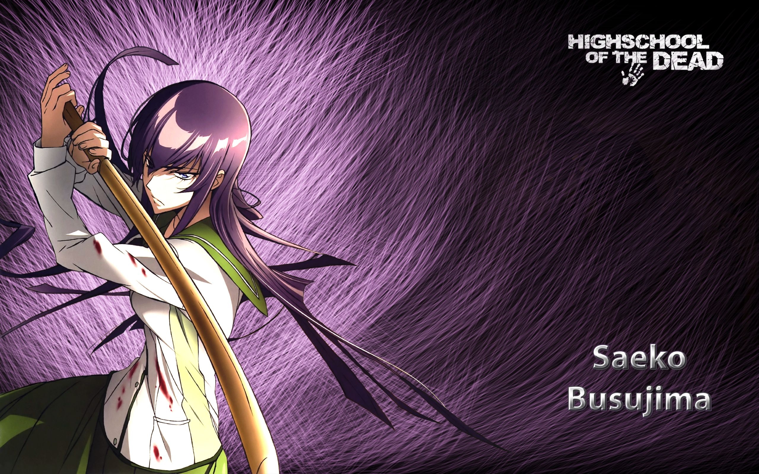 2560x1600 Saeko Busujima HD Wallpaper and Background Image, Desktop