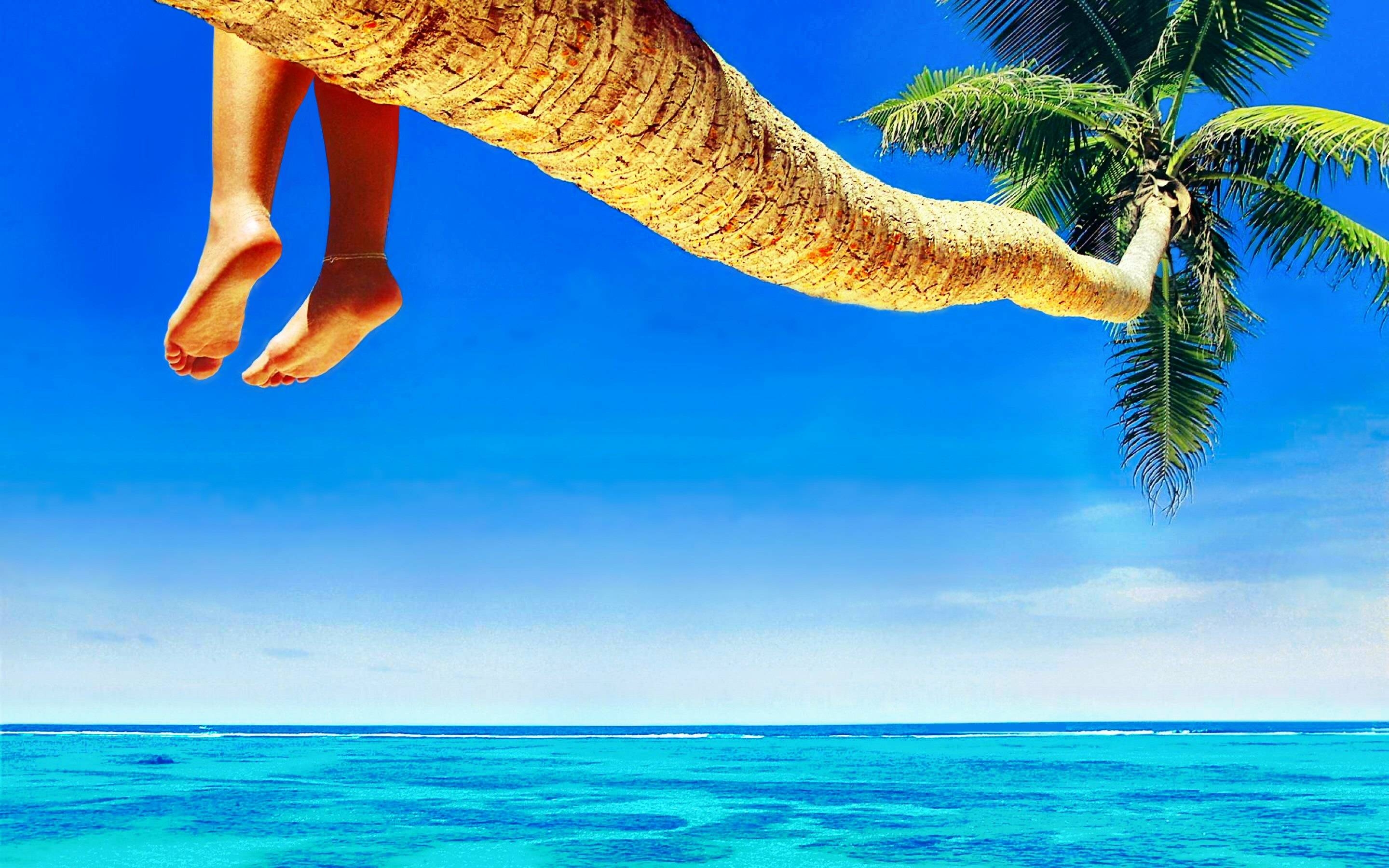 2880x1800 TROPICAL [02] turquoise horizon [14march2013thursday] [VersionOne, Desktop