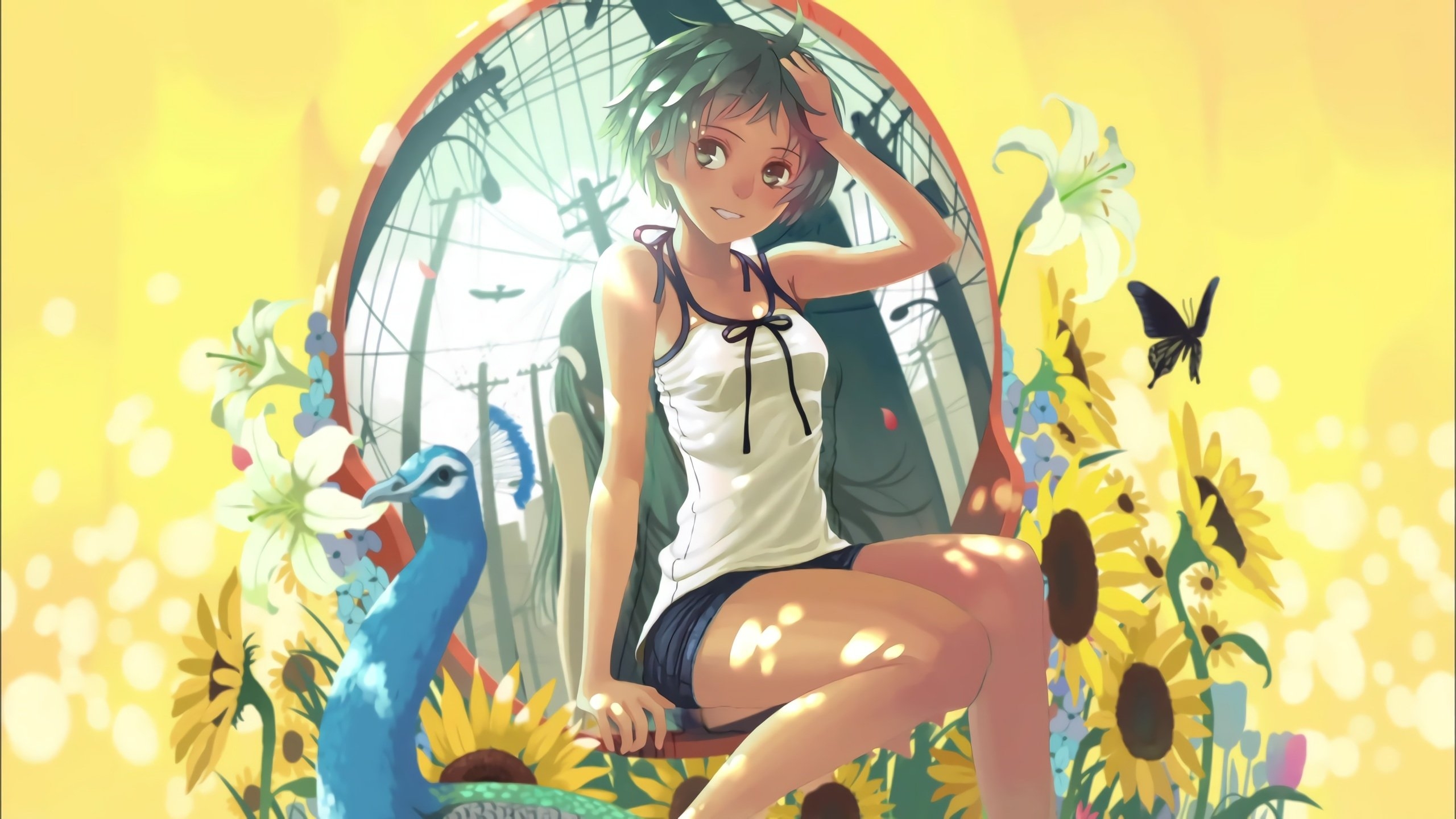 2560x1440 Download  Monogatari Series, Anime Girl, Sunflowers, Summer, Desktop