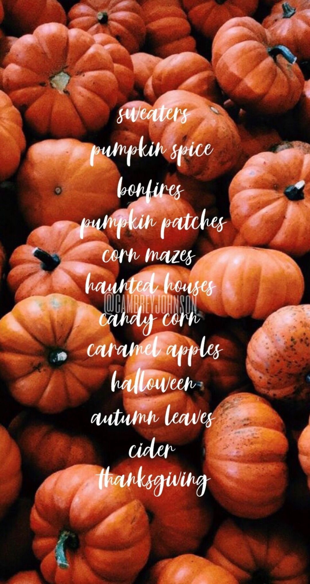 1080x2040 Hello Autumn Aesthetic HD Wallpaper (Desktop Background / Android / iPhone) (1080p, 4k) (1125x2120) (2020), Phone