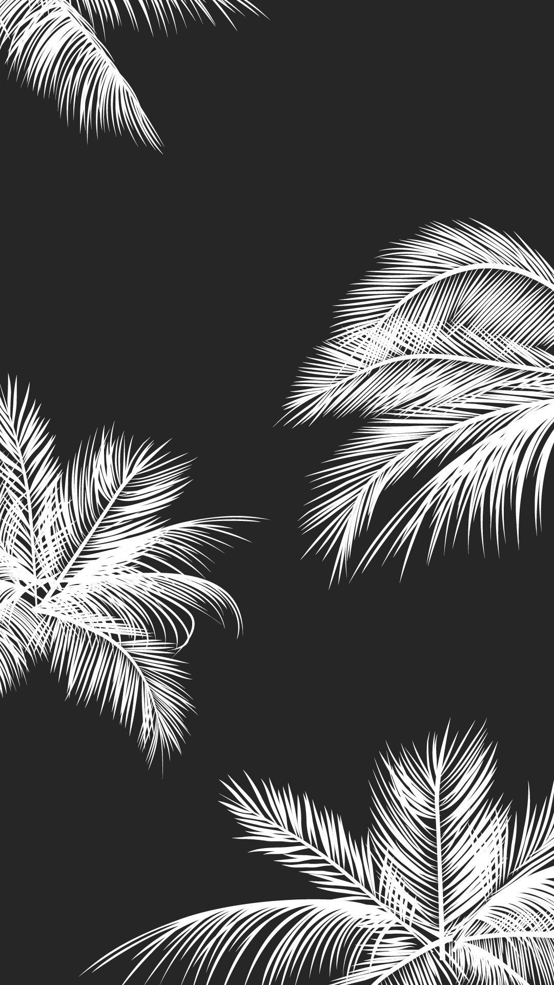 1090x1930 Cute Black and White Aesthetic Wallpaper Free Cute Black and White Aesthetic Background, Phone