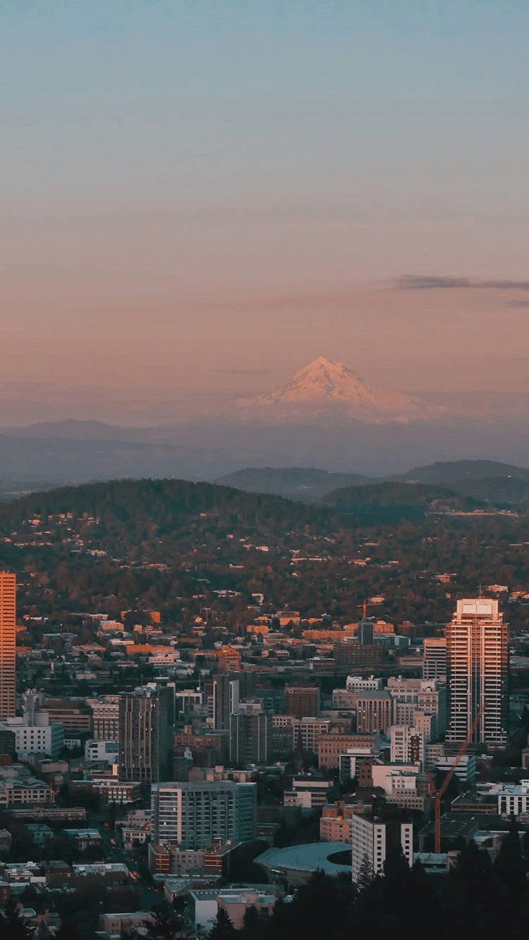 750x1340 Seattle iPhone Wallpaper, HD Seattle iPhone Background on WallpaperBat, Phone