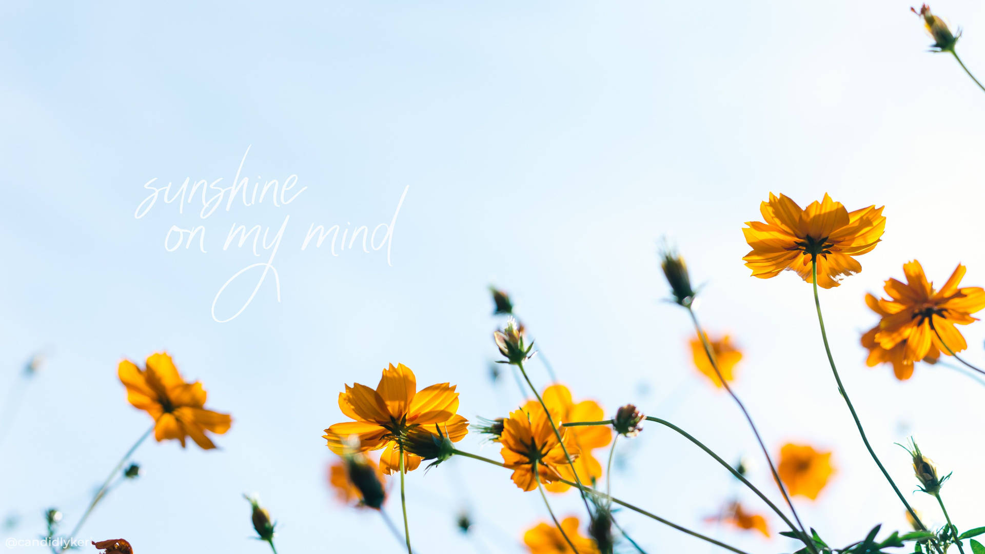 1920x1080 Spring Aesthetic Wallpaper, Desktop