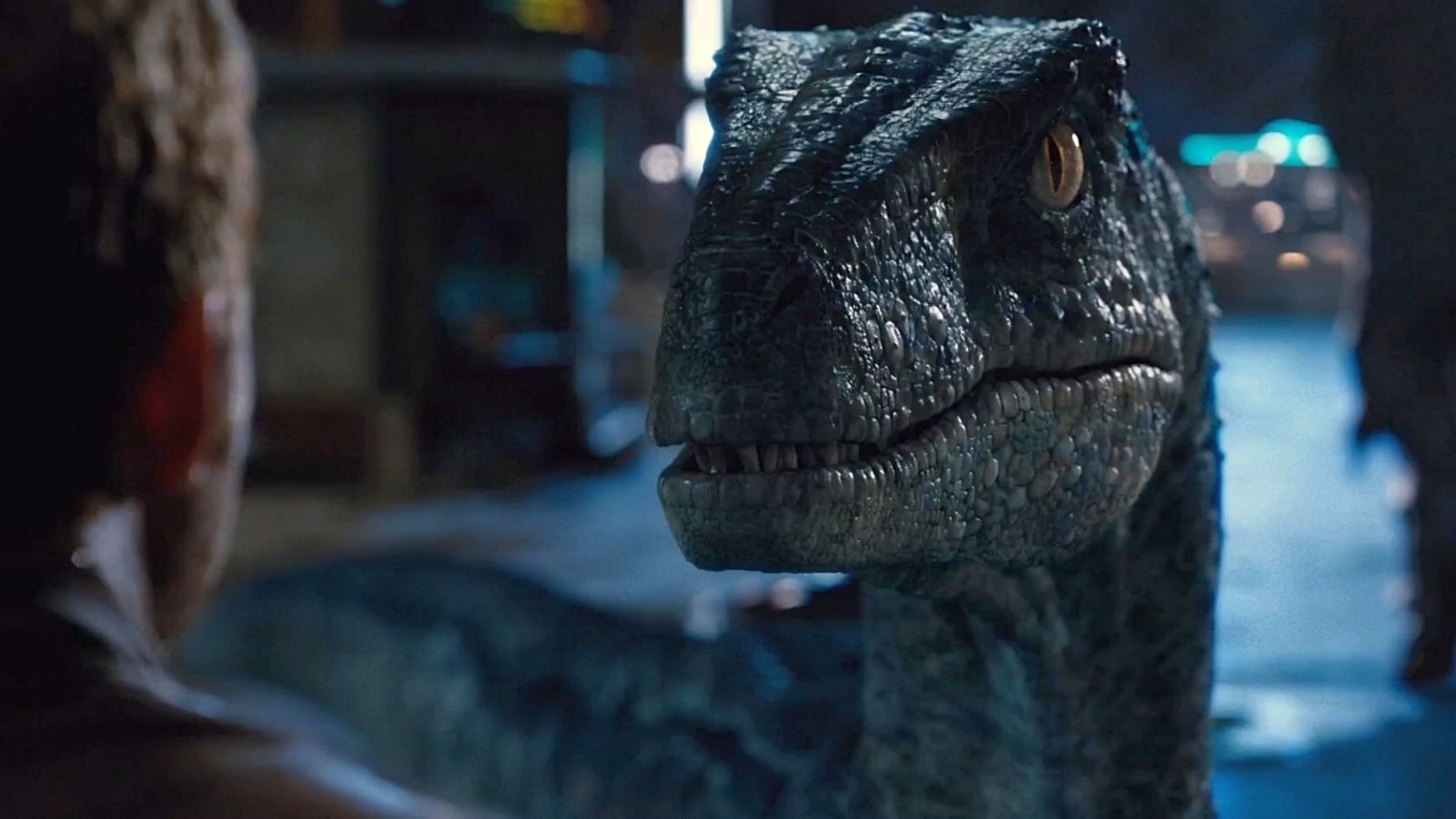 1600x900 Free download Jurassic World Blue by Jd1680a [1916x956] for your Desktop, Mobile & Tablet. Explore Jurassic World Velociraptor Wallpaper. Jurassic World Velociraptor Wallpaper, Jurassic World Wallpaper, Jurassic World Desktop Wallpaper, Desktop