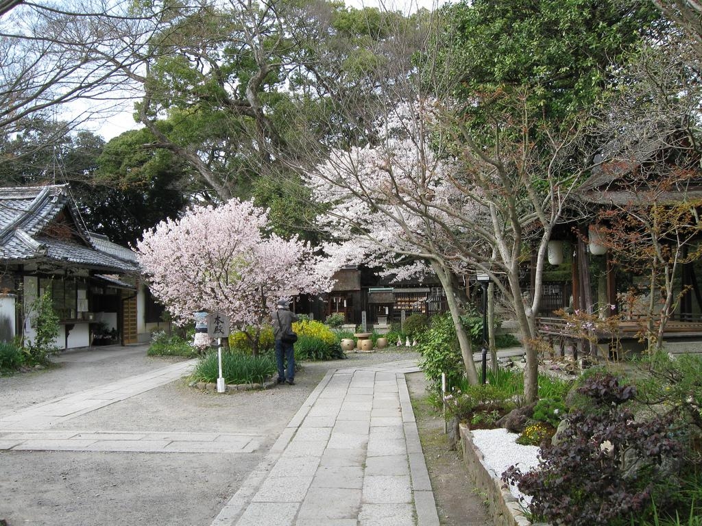 1030x770 Shinjuku Gyoen National Garden in Tokyo in Tokyo, Japan, Desktop