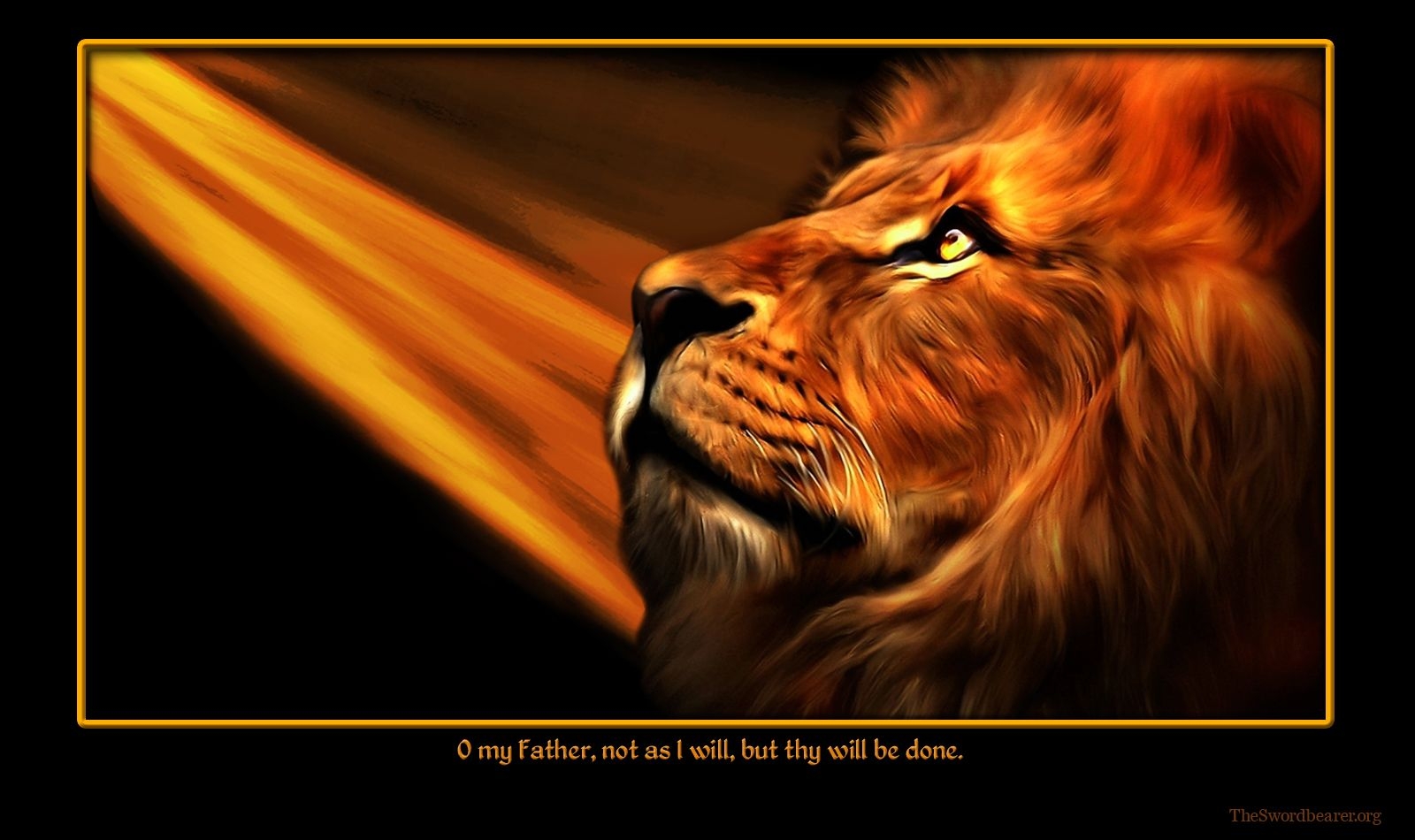 1600x950 Lion of Judah pics.. selfless, and loving Lion, Desktop