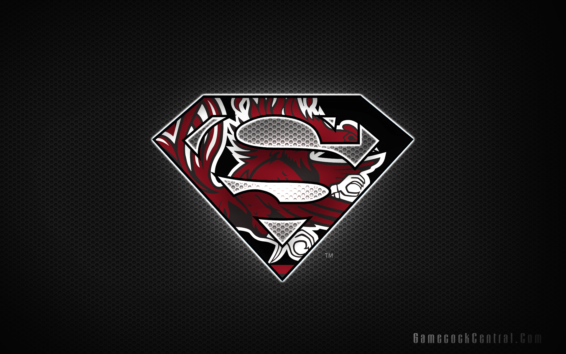 1920x1200 Superman Gamecock Logo, Desktop