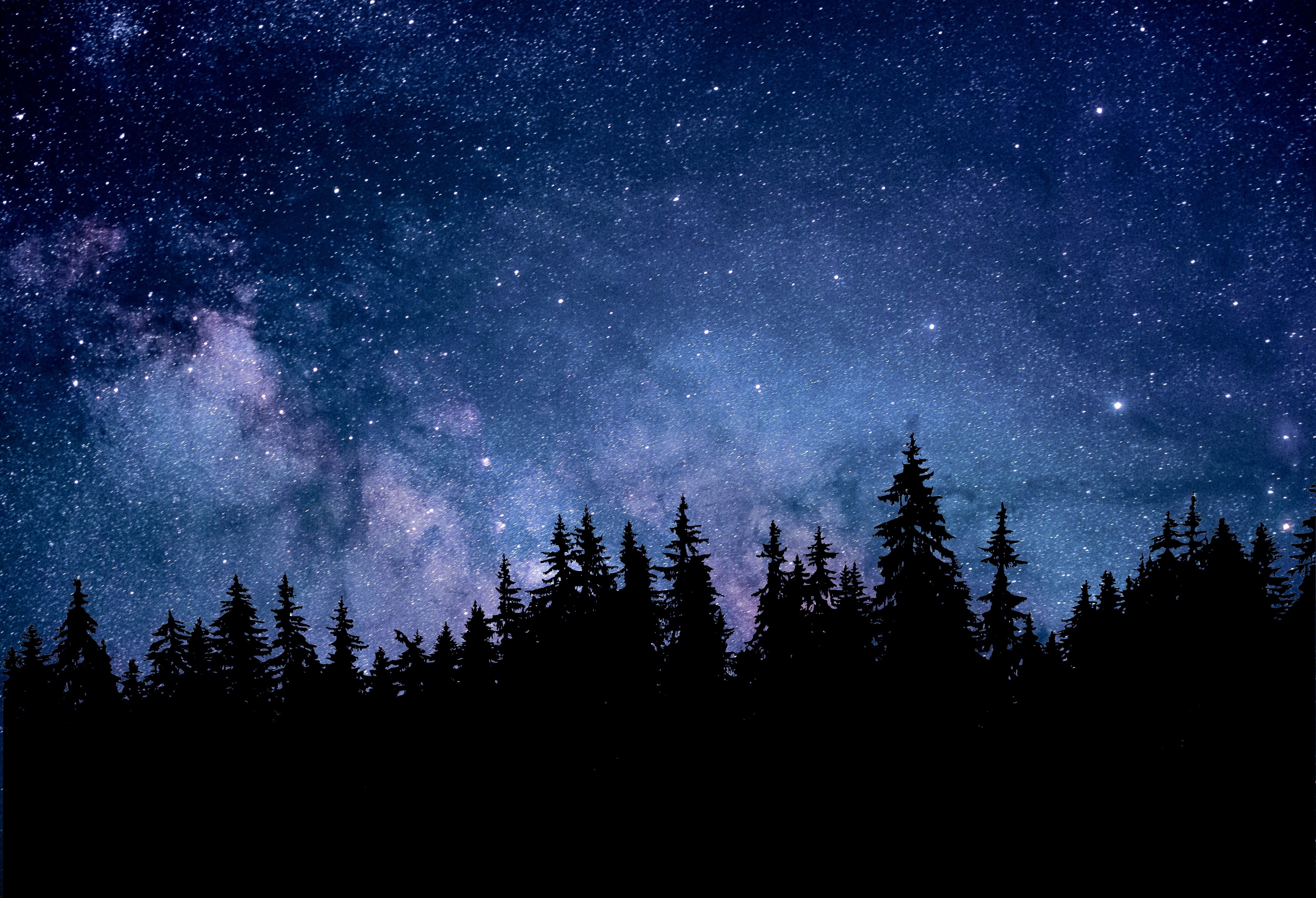 5010x3420 Night 4K Wallpaper, Starry sky, Forest, Silhouette, Astronomy, Cosmos, 5K, Nature, Desktop