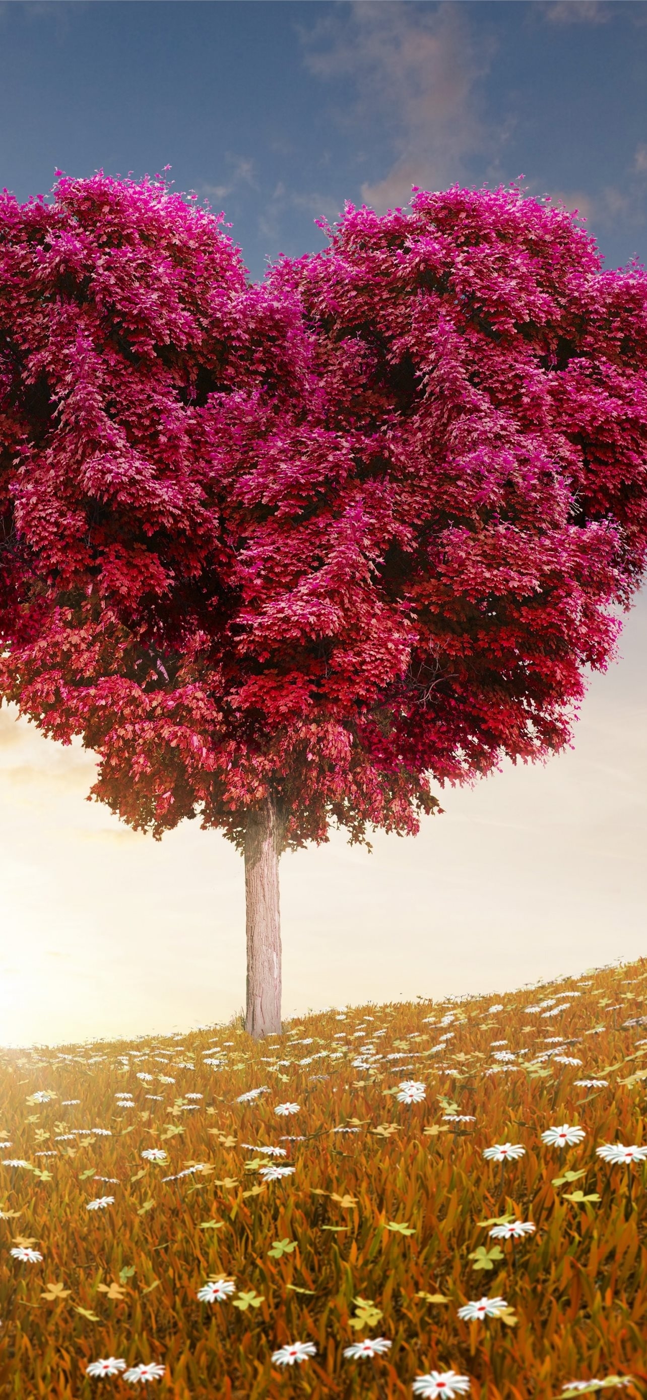 1290x2780 Meadows 5k 4k 8k tree love sun Nature iPhone Wallpaper Free Download, Phone