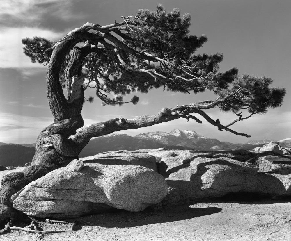 1000x830 Ansel Adams Classic Image, Desktop