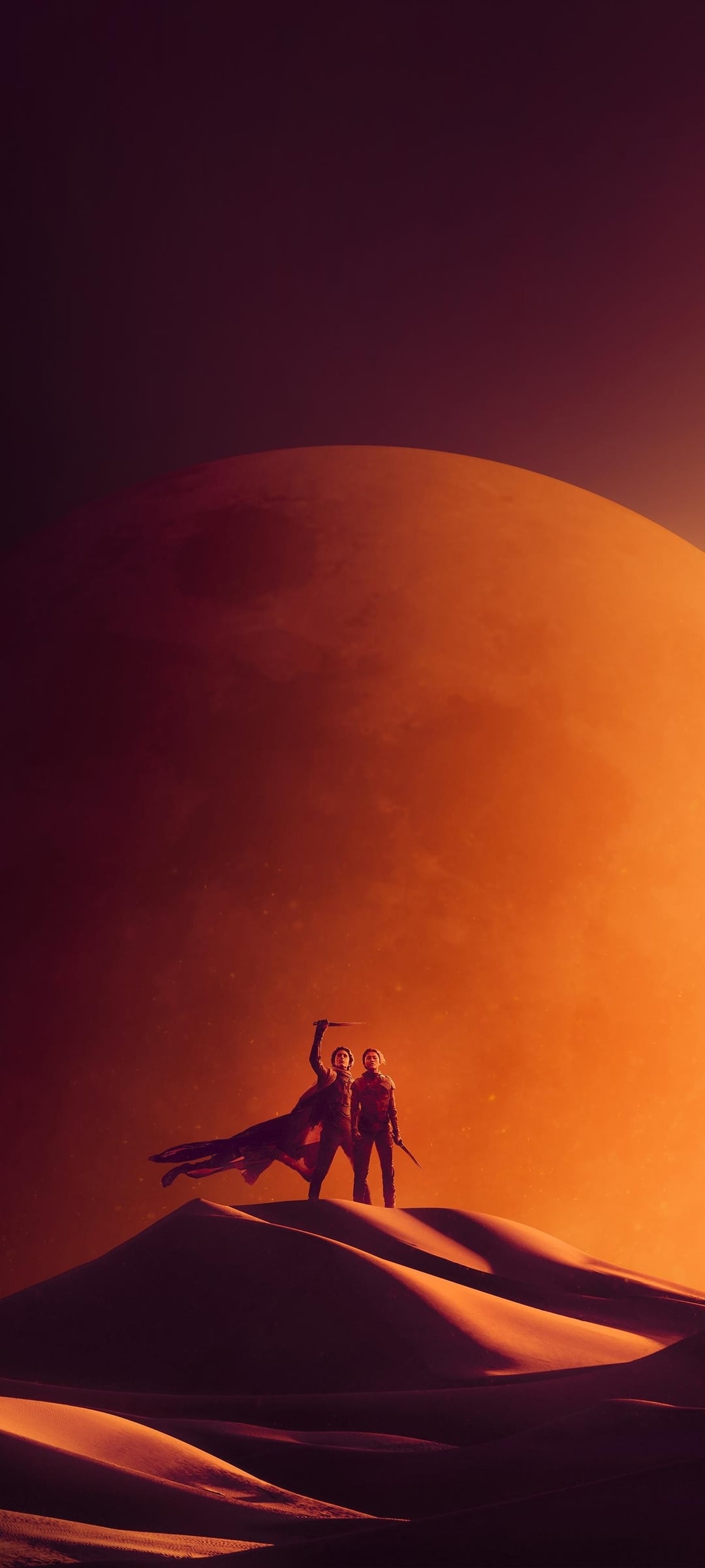 1080x2400 Dune: Part Two wallpaper 1350x3000, Phone