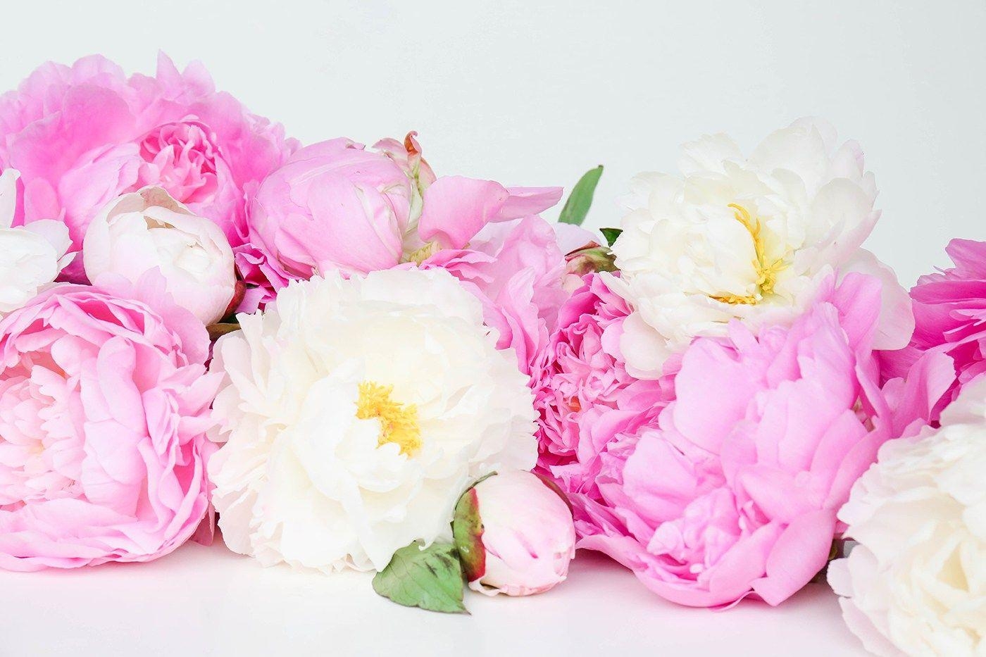 1400x940 ProperPrintables \ Colorful Peonies Wallpaper Download, Desktop