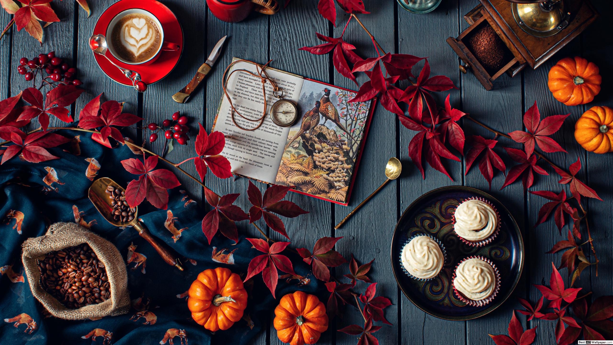 2560x1440 Creative fall concept for Halloween with coffee, cupcakes, pumpkin and books HD wallpaper download, Desktop