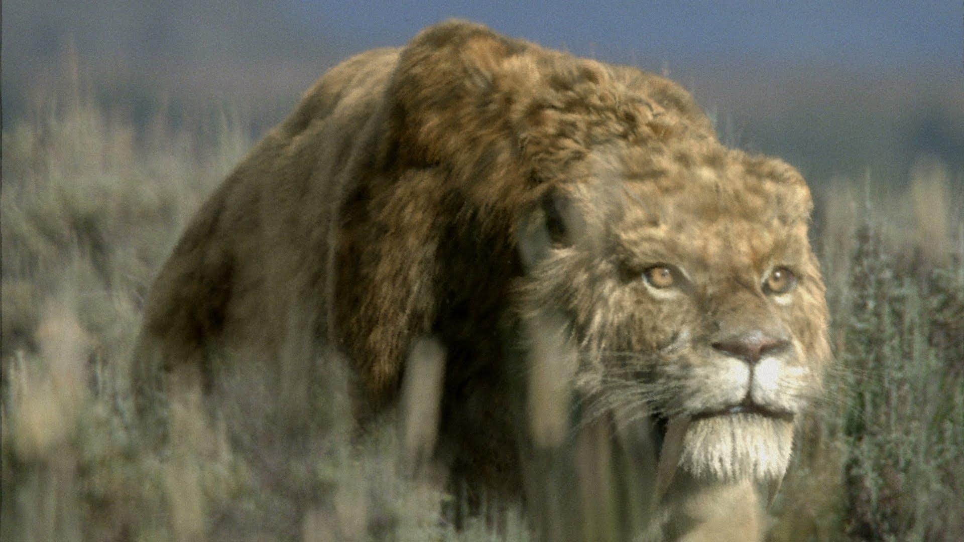 1920x1080 Saber Tooth Tiger Wallpaper HD, Desktop