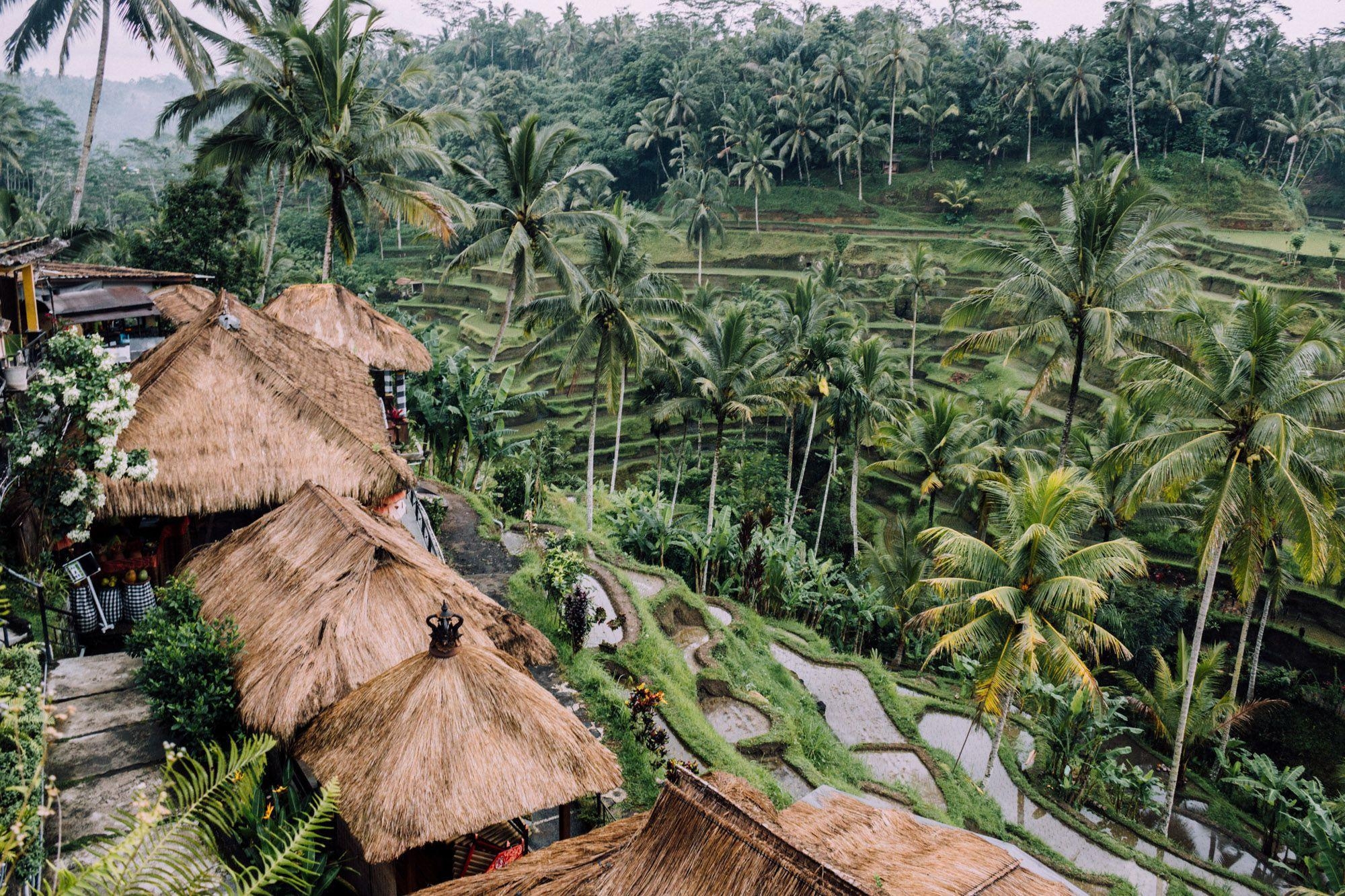 2000x1340 Ubud HD Background, Desktop