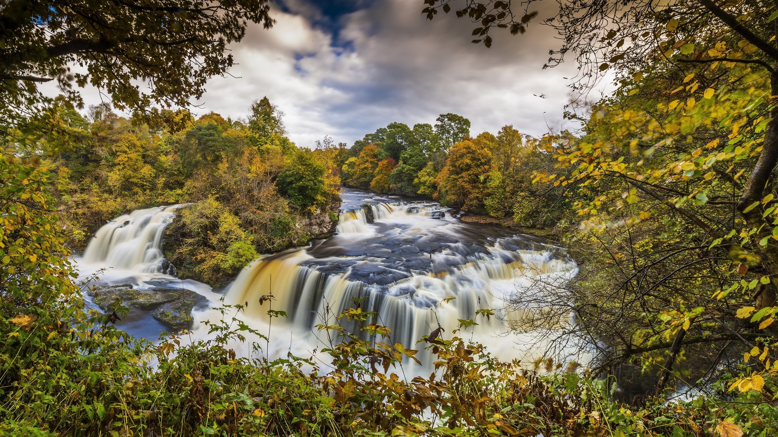 2560x1440 Wallpaper Scotland, Clyde Valley Woodlands, autumn, trees, river, waterfalls  QHD Picture, Image, Desktop