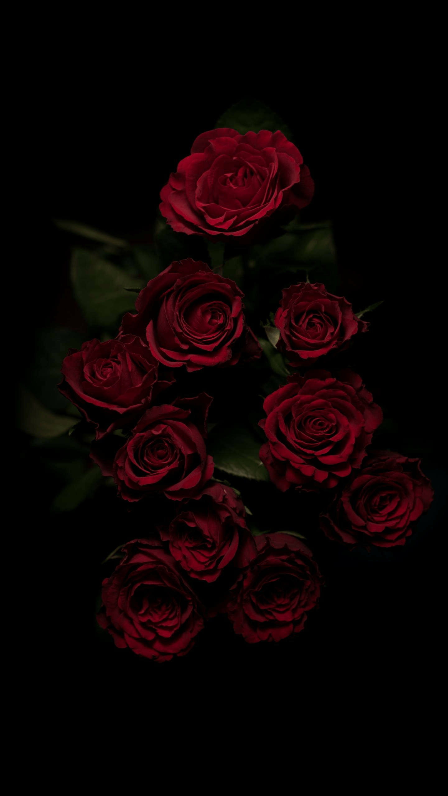 1440x2560 Free download Dark Flower Aesthetic Wallpaper Top Dark Flower, Phone