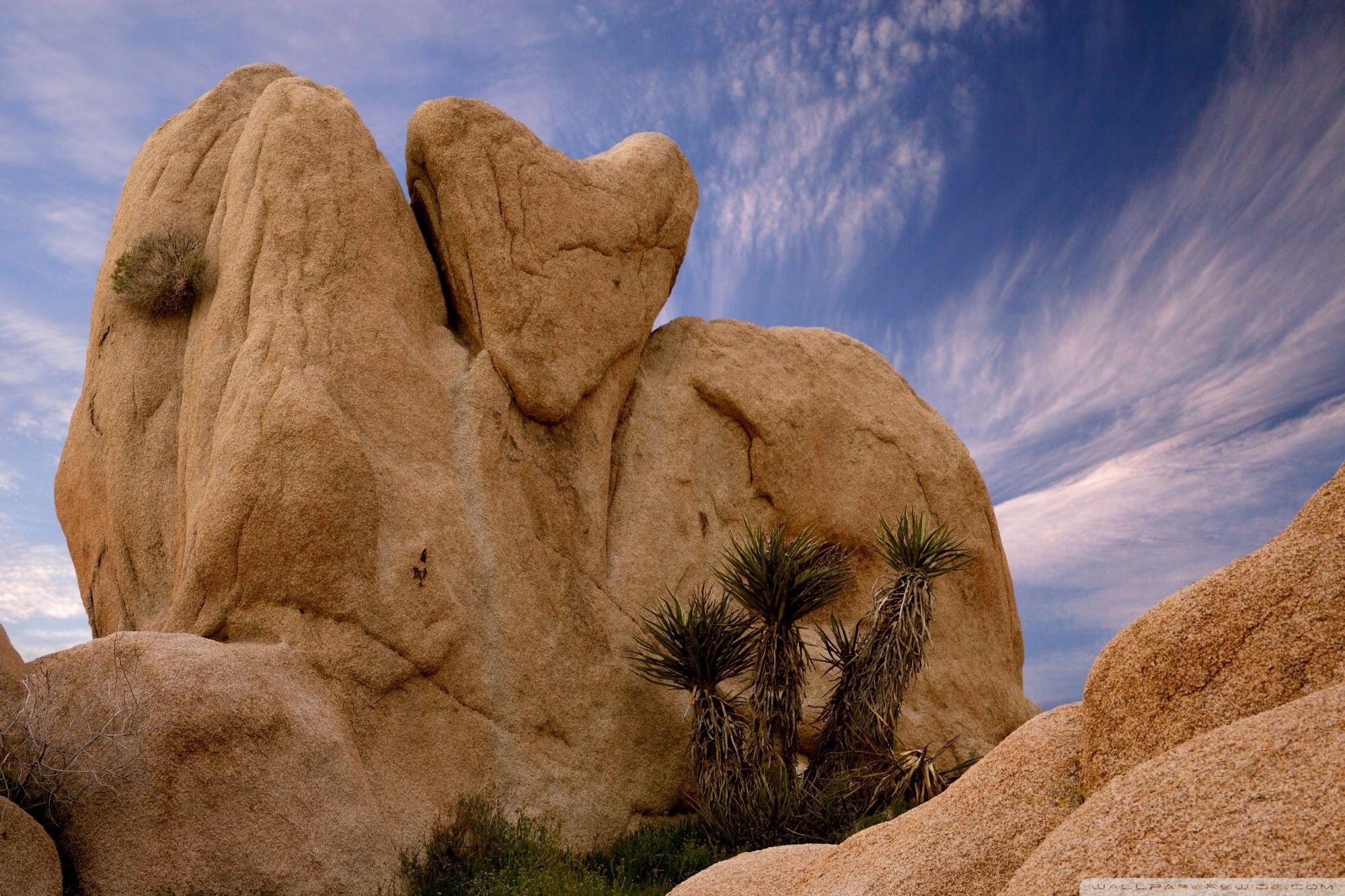 2000x1340 Joshua Tree National Park Ca HD desktop wallpaper, Widescreen, Desktop