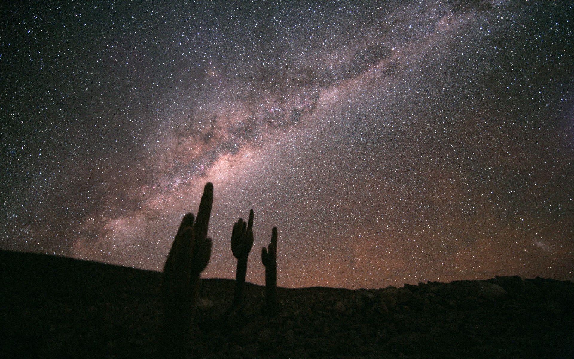 1920x1200 Echinopsis Atacamensis and the Milky Way (wallpaper), Desktop