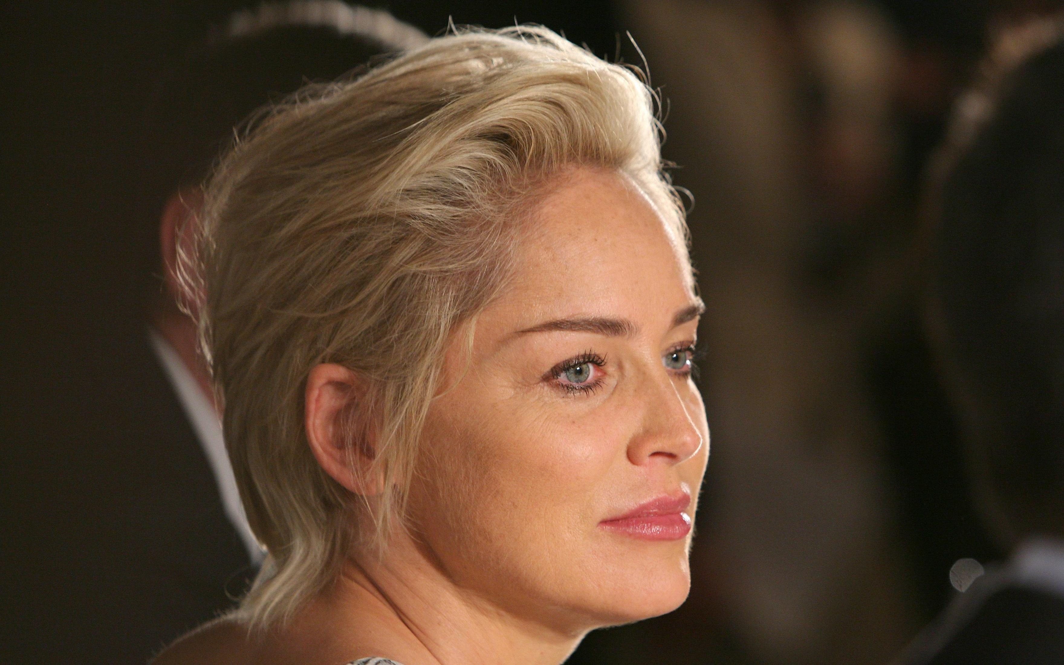 3520x2200 Sharon Stone Wallpaper HD Download, Desktop