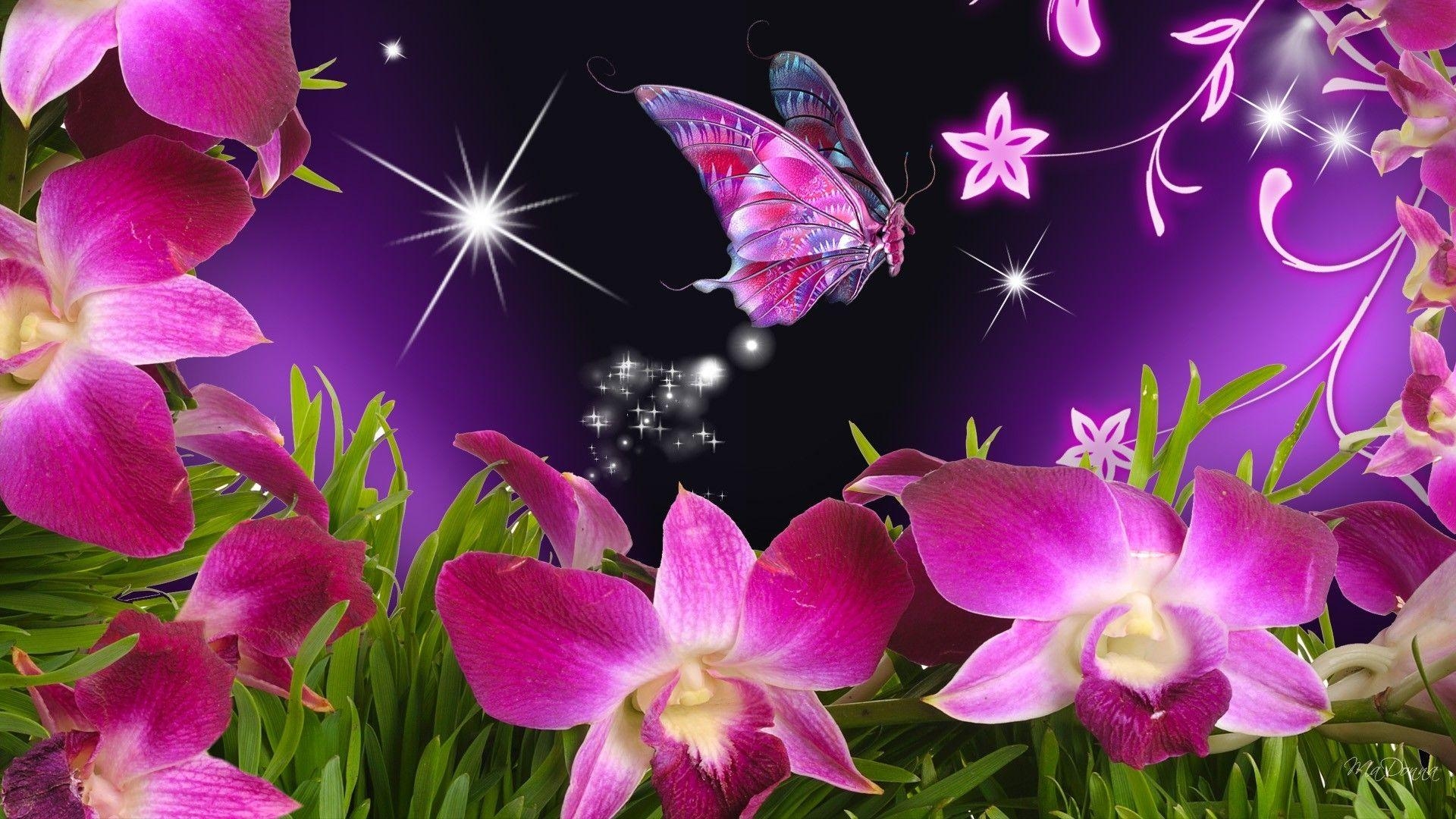 1920x1080 Pink Butterfly Wallpaper, Desktop