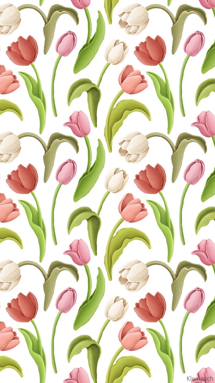 740x1310 Tulip Flowers Wallpaper, Phone