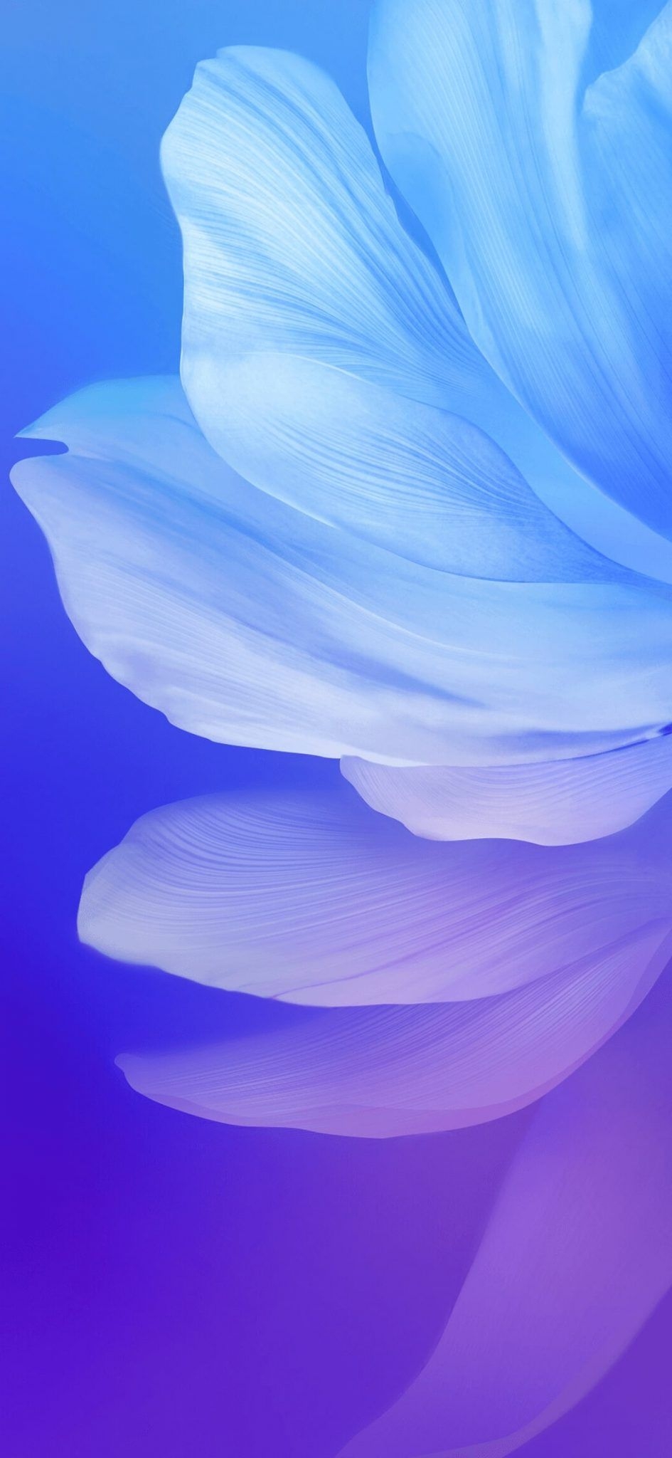 950x2050 Vivo V17 Wallpaper Free Vivo V17 Background, Phone