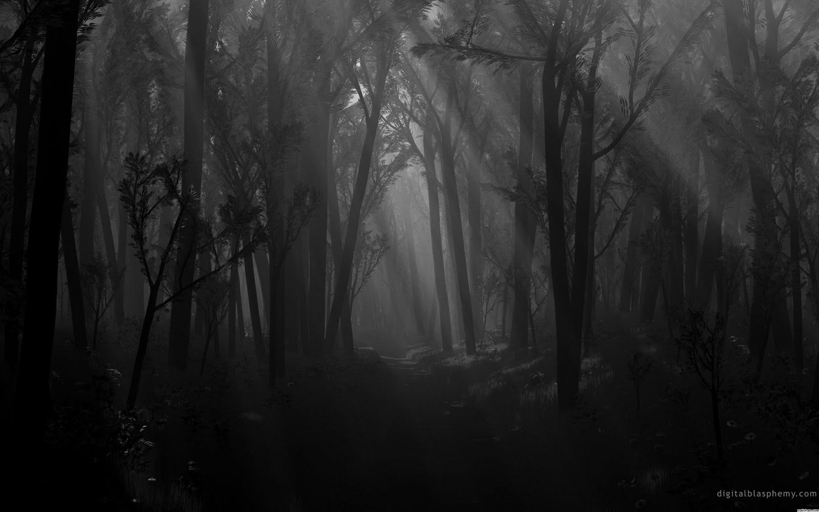 1600x1000 Creepy Forest Wallpaper, Desktop