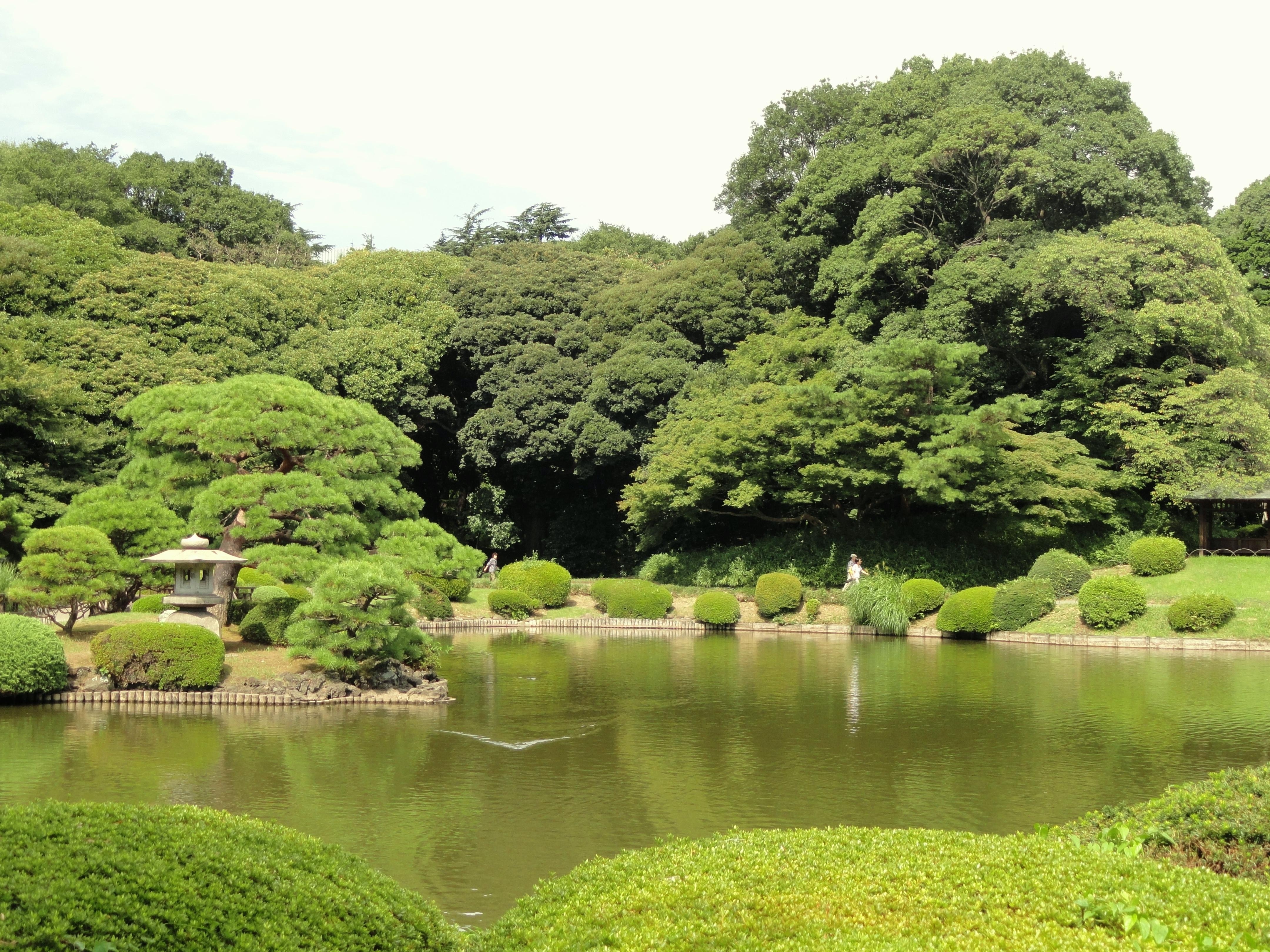 4320x3240 Shinjuku Gyoen National Garden, Desktop