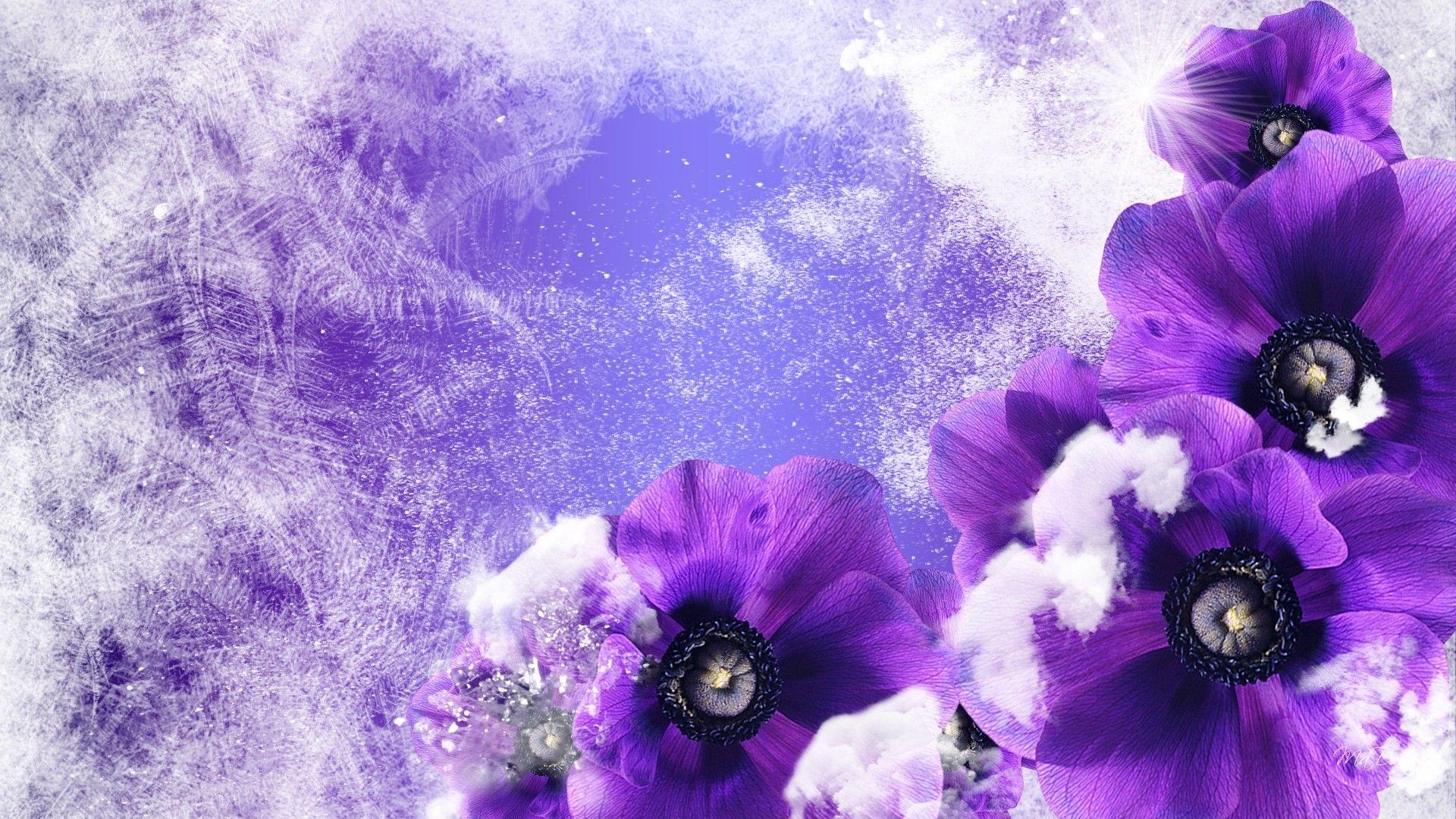 1920x1080 Winter Flowers 25809 px, Desktop